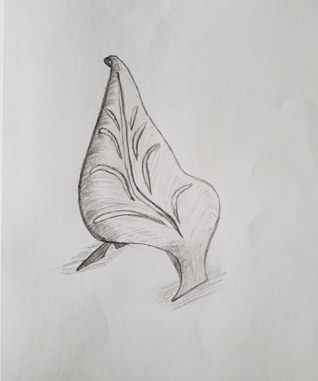 A Leaf-like chair
