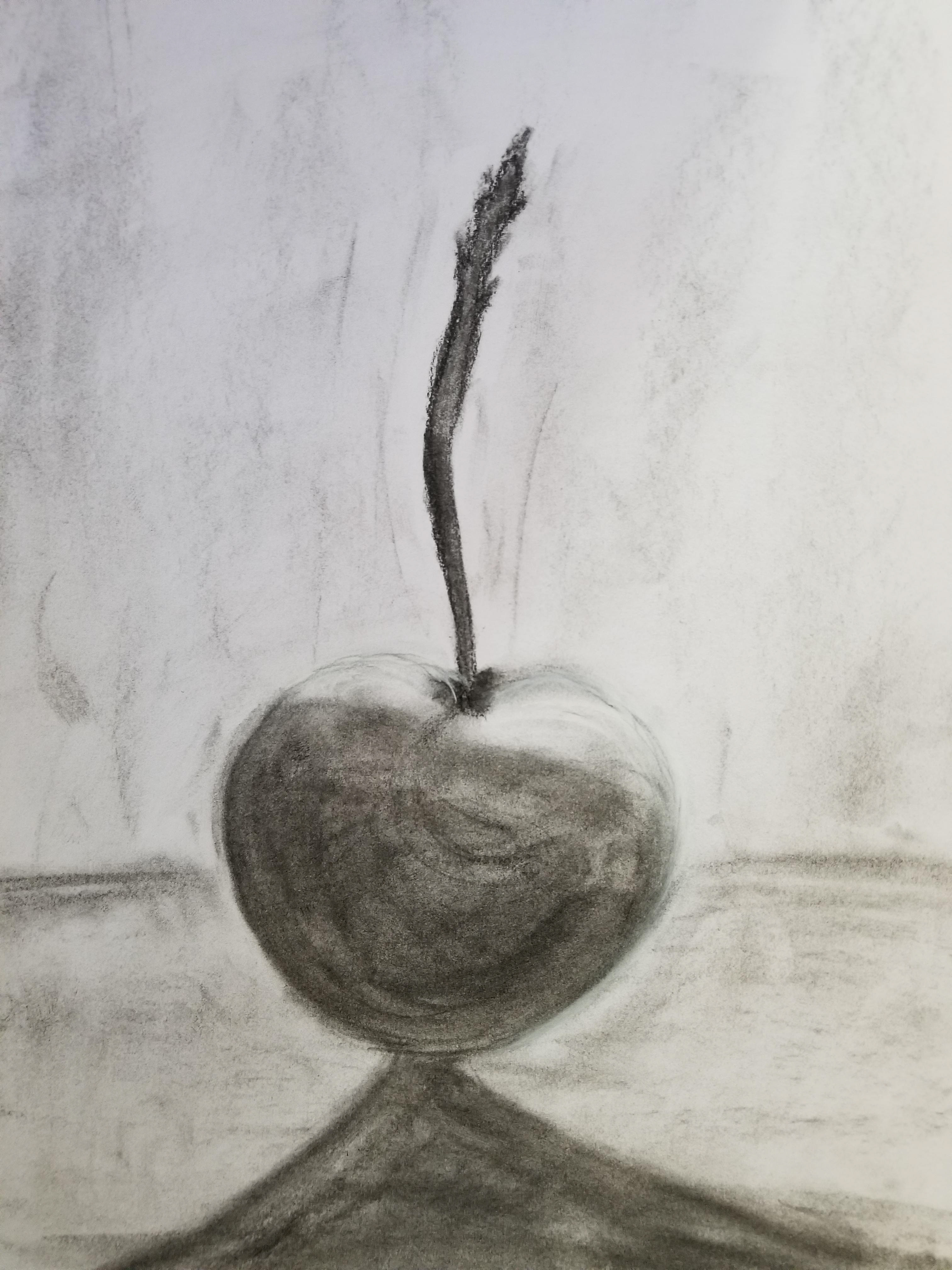Charcoal sketch of a Cherry