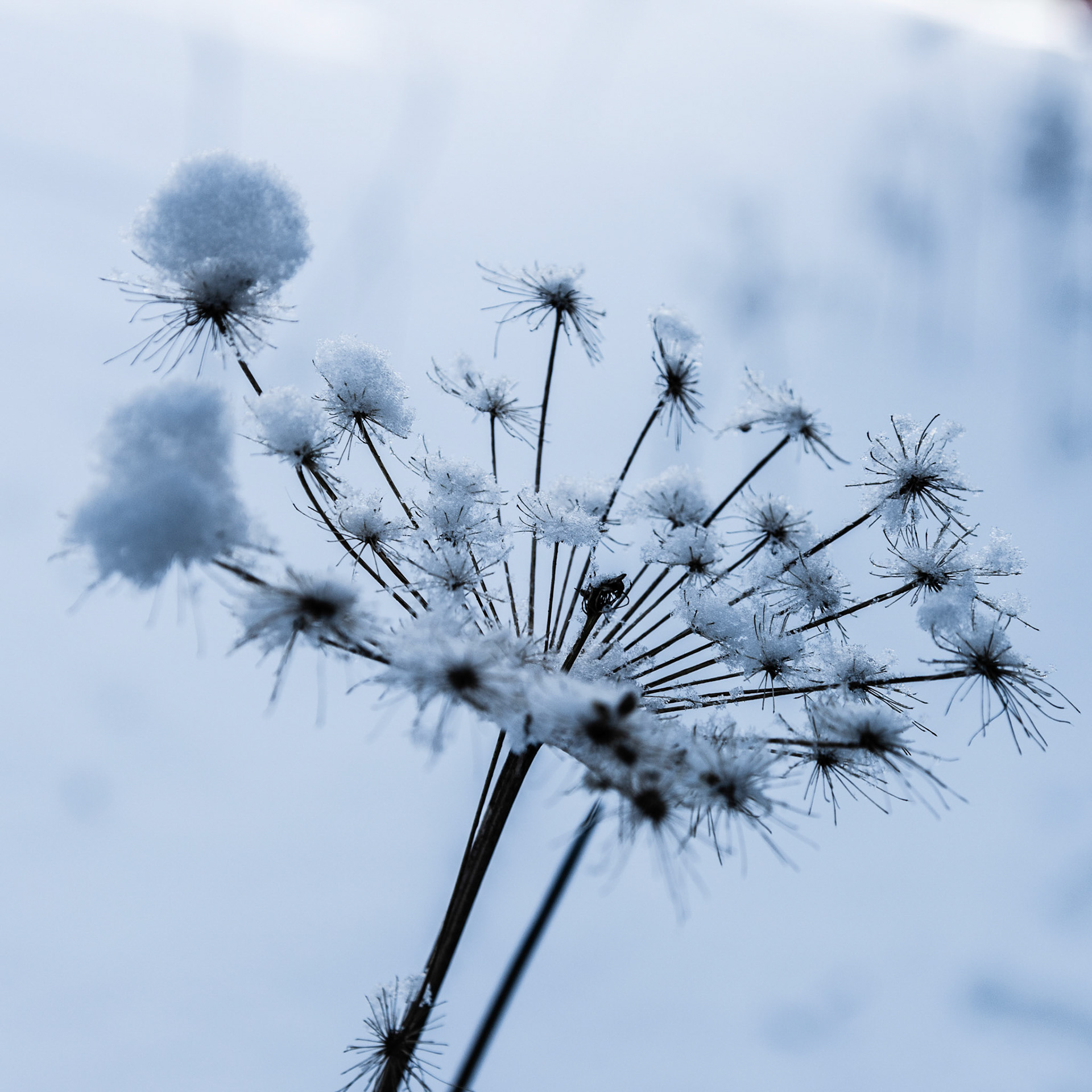 Leobner Mauer ©pixelmaker.at