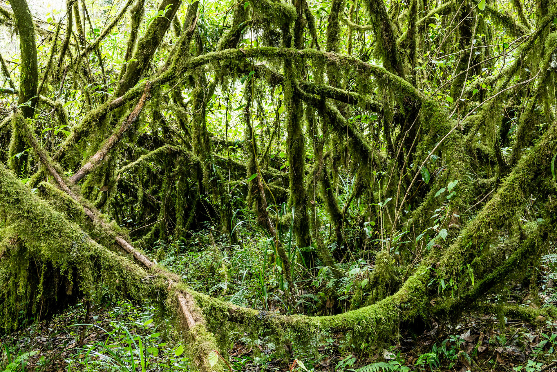 Klimanjaro 5895 m  ©pixelmaker.at