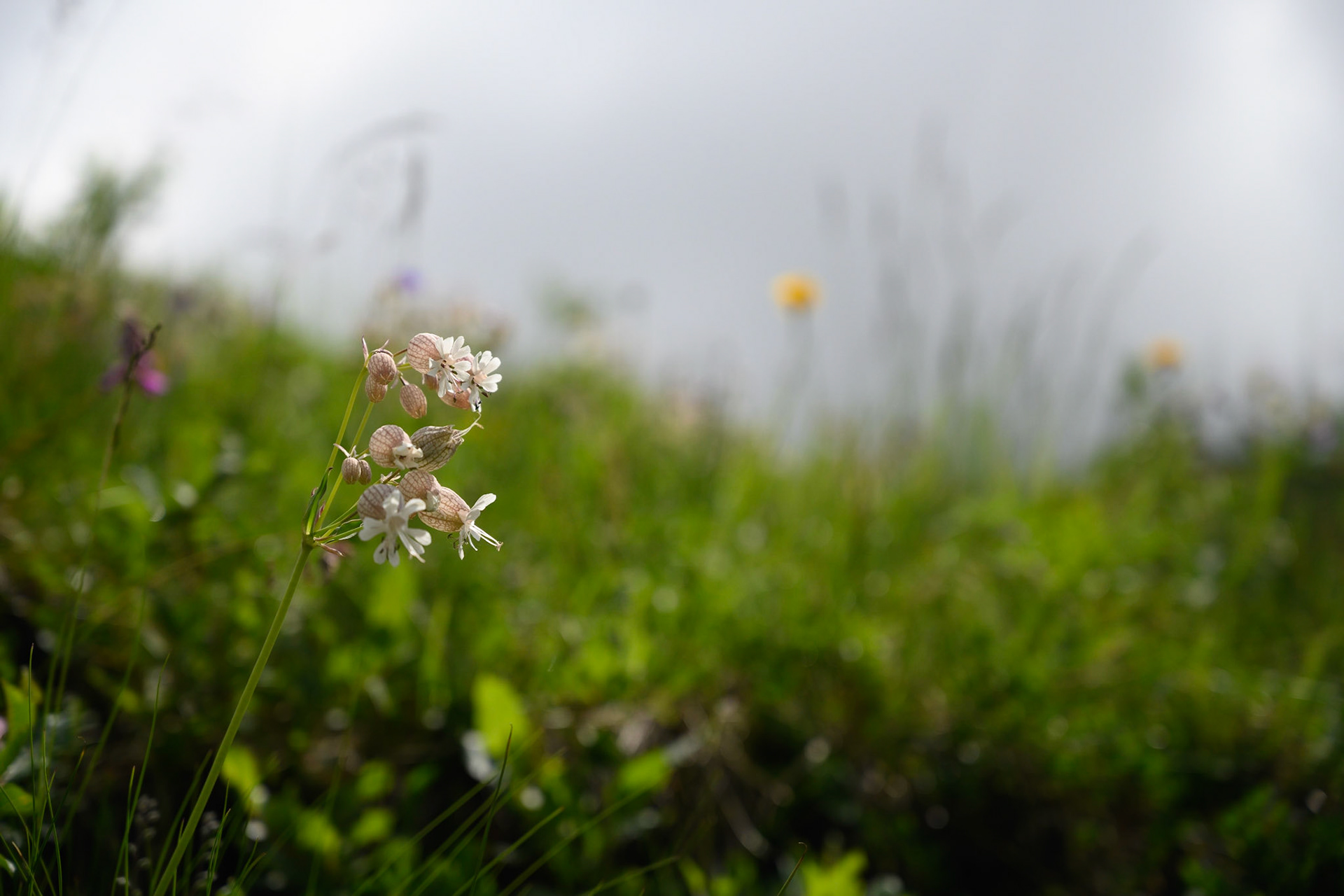 Bild zeigt v. l.:  Veröffentlichung nur mit©pixelmaker.at