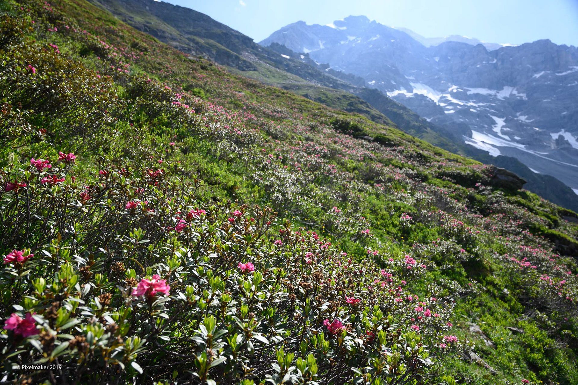 Ortler 3905m ©pixelmaker.at