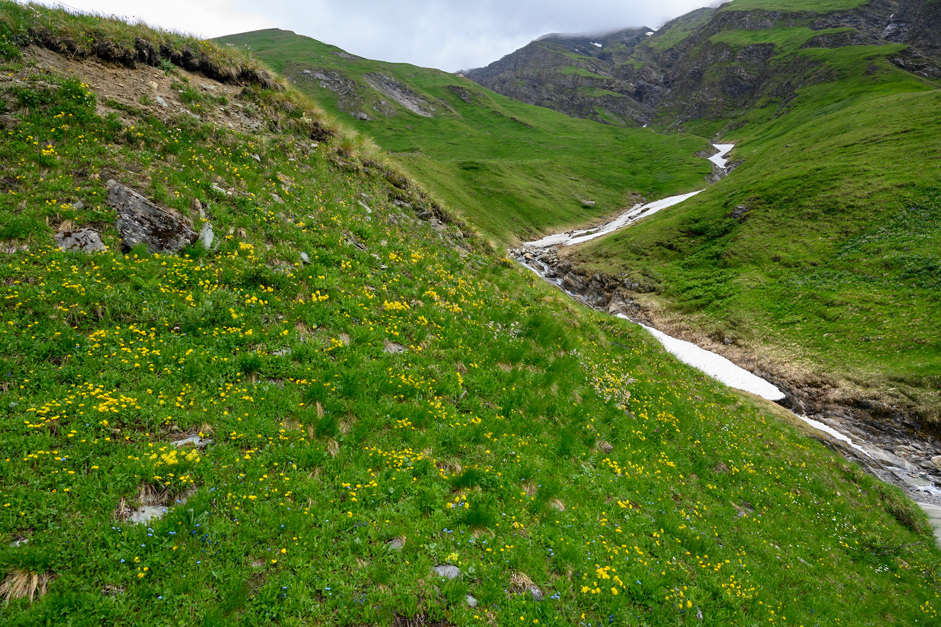 Bild zeigt v. l.:  Veröffentlichung nur mit©pixelmaker.at