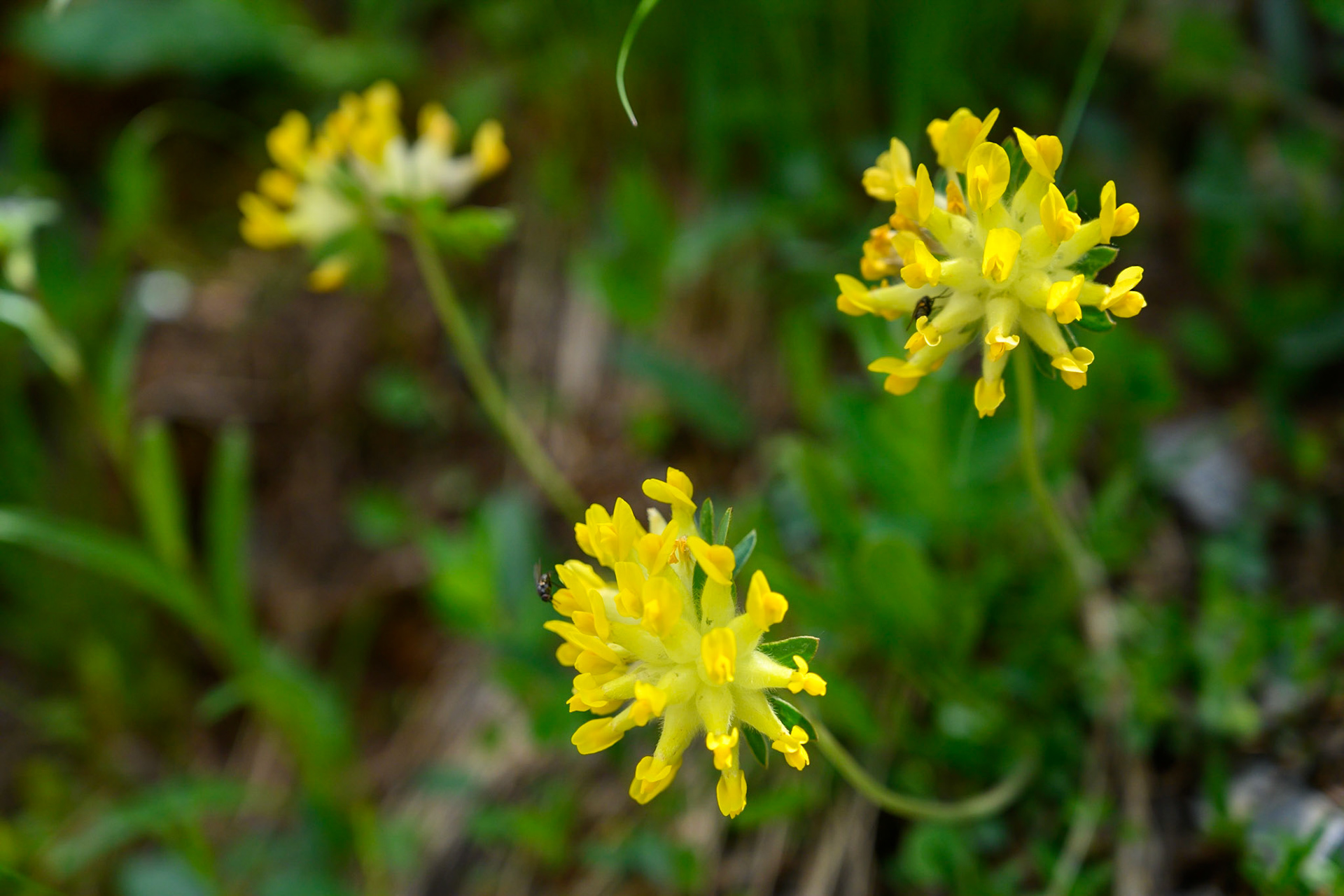Bild zeigt v. l.:  Veröffentlichung nur mit©pixelmaker.at