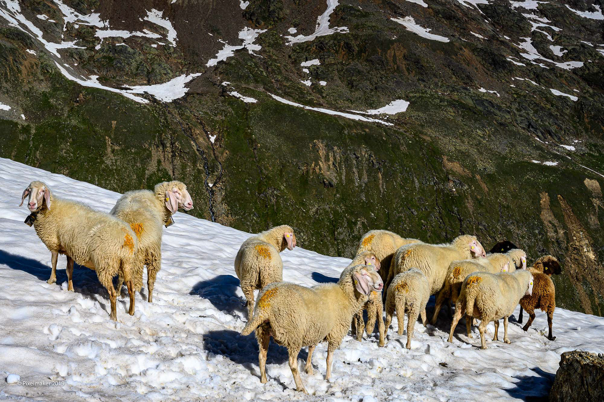 Similaun 3606m ©pixelmaker.at