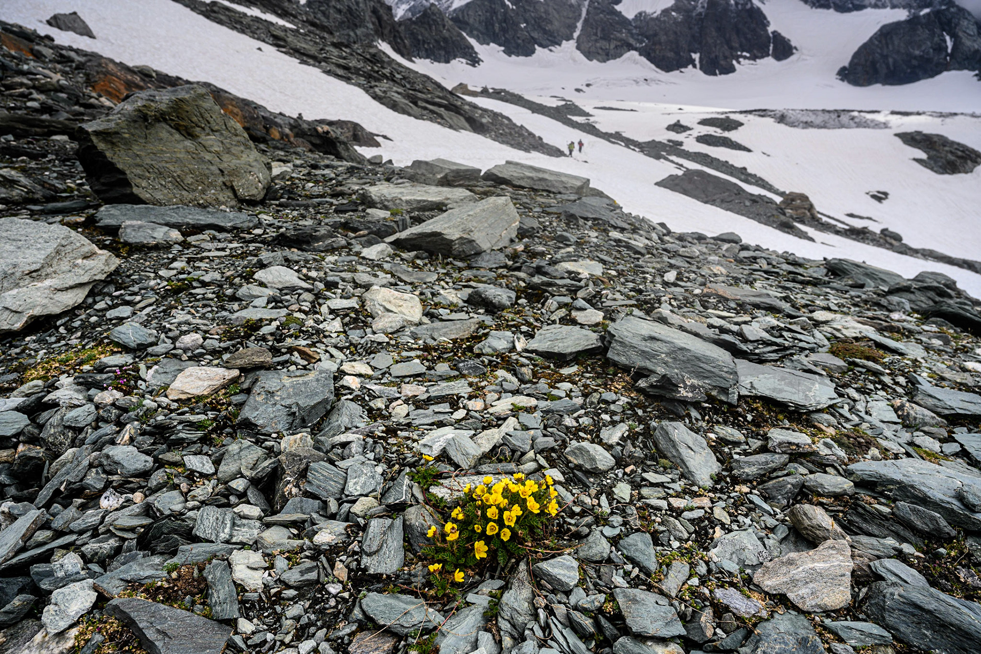 Bild zeigt v. l.:  Veröffentlichung nur mit©pixelmaker.at