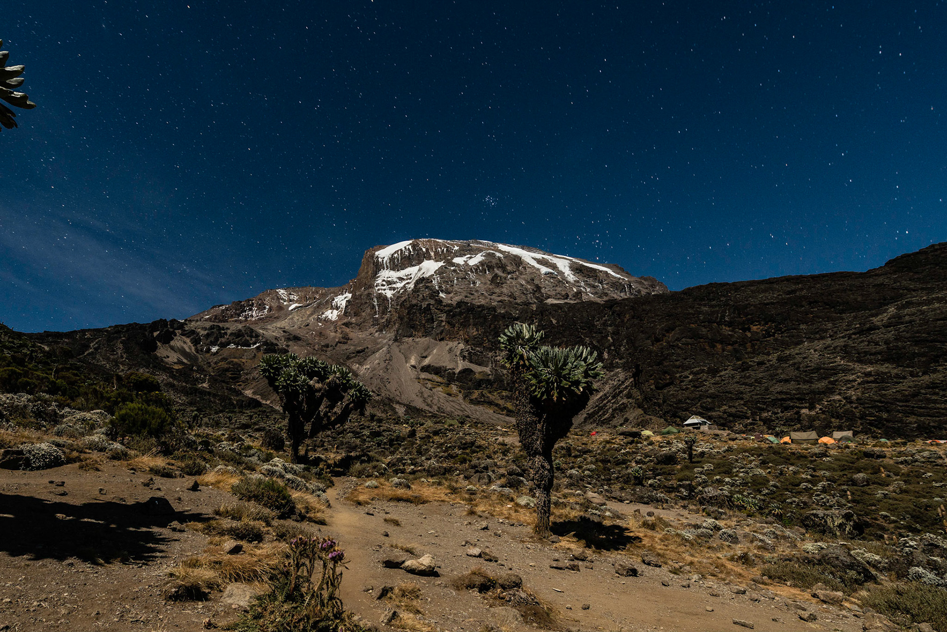 Klimanjaro 5895 m  ©pixelmaker.at