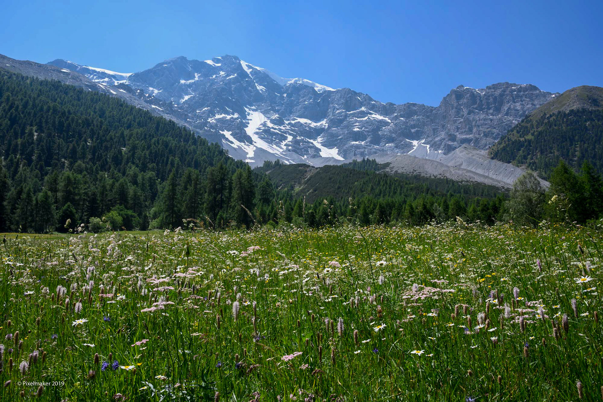 Ortler 3905m ©pixelmaker.at