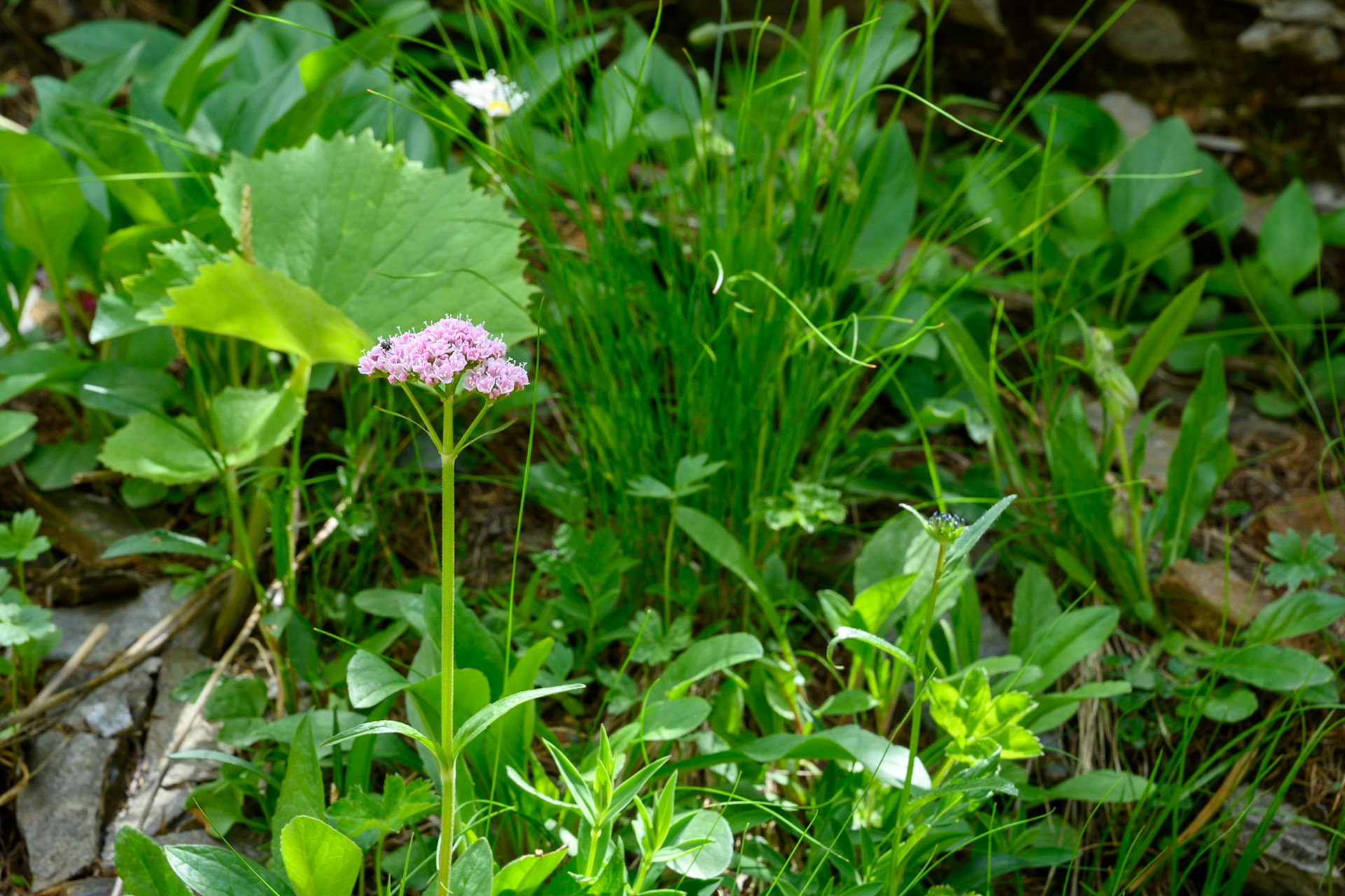 Bild zeigt v. l.:  Veröffentlichung nur mit©pixelmaker.at