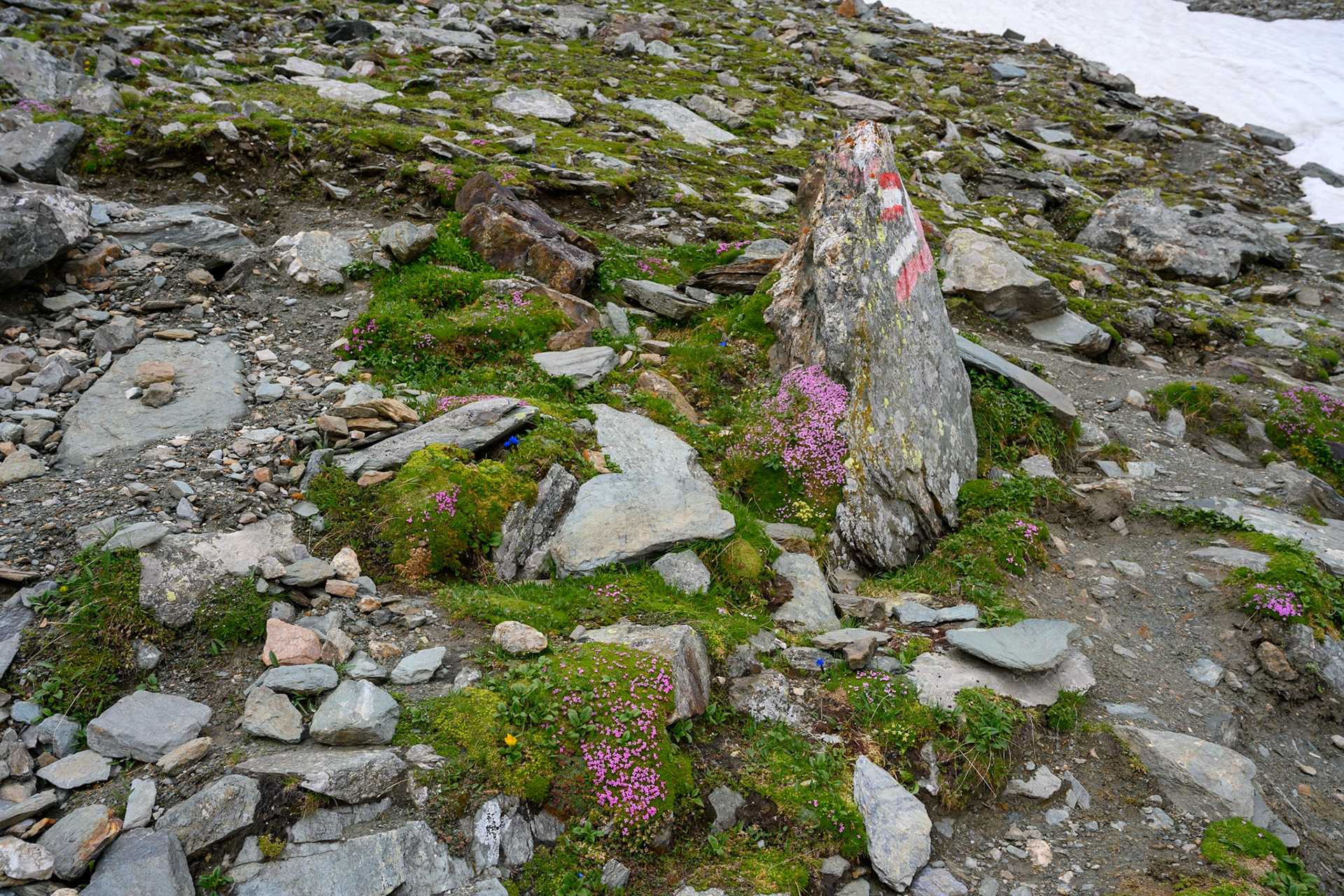 Bild zeigt v. l.:  Veröffentlichung nur mit©pixelmaker.at