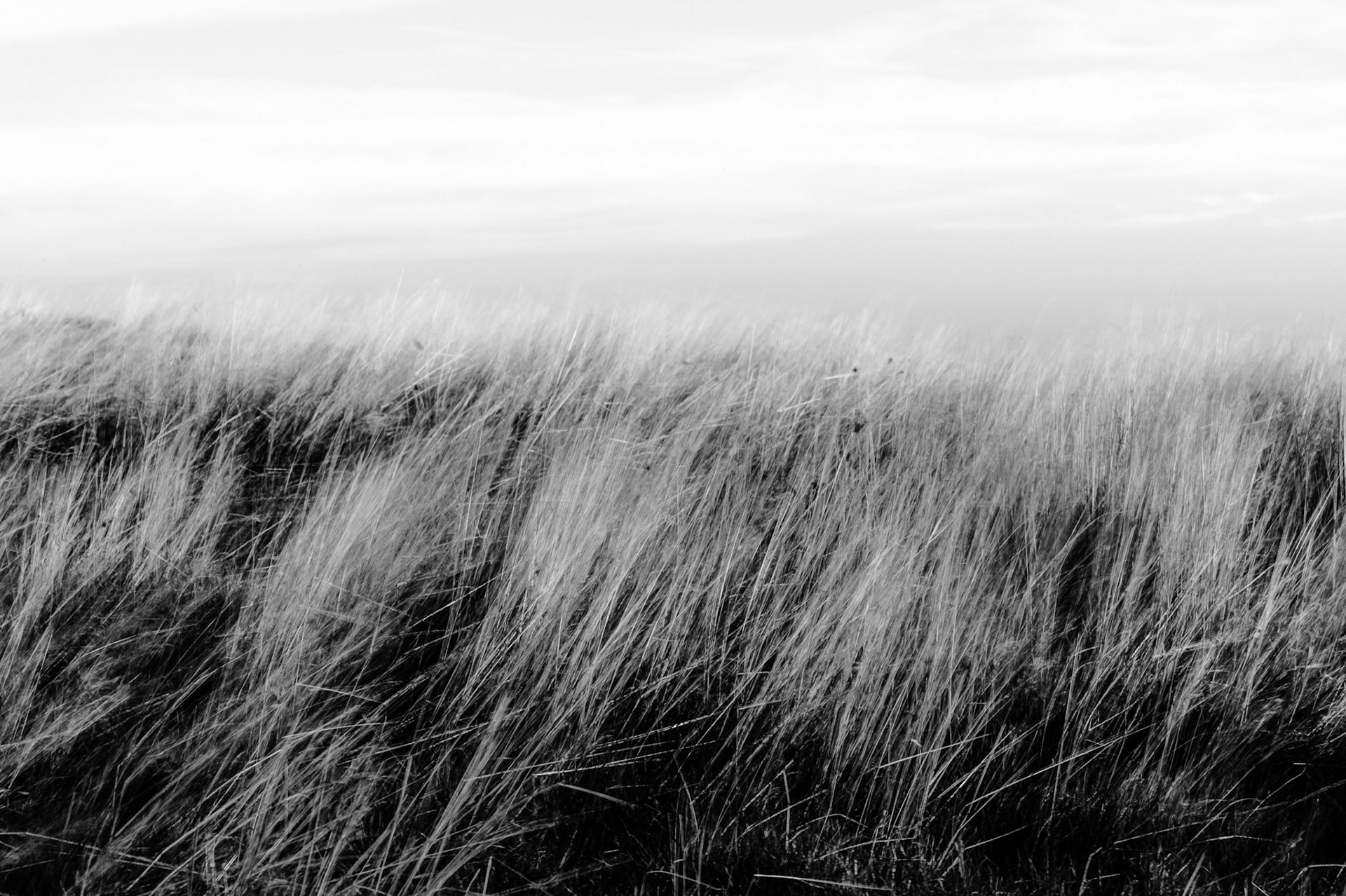 Handalm ©pixelmaker.at