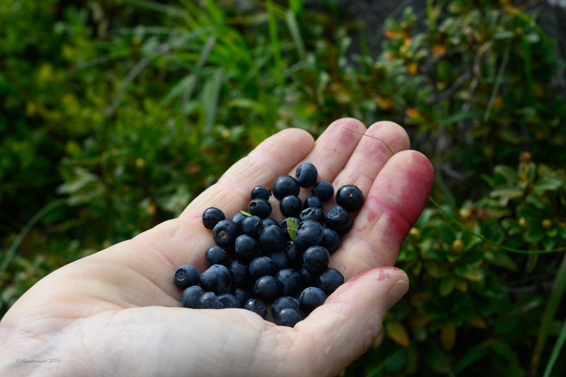 Rieserferner Durchquerung ©pixelmaker.at