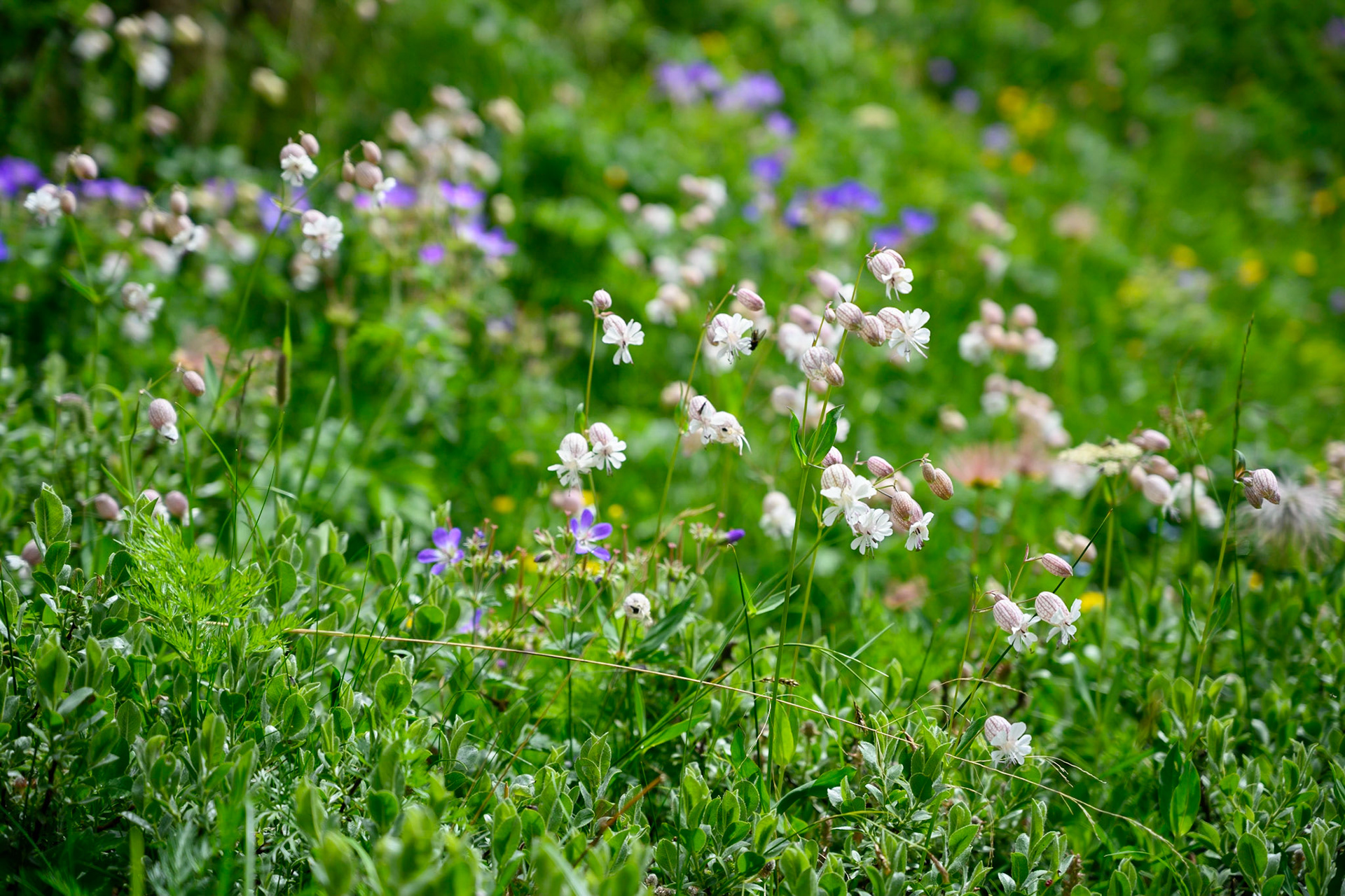 Bild zeigt v. l.:  Veröffentlichung nur mit©pixelmaker.at