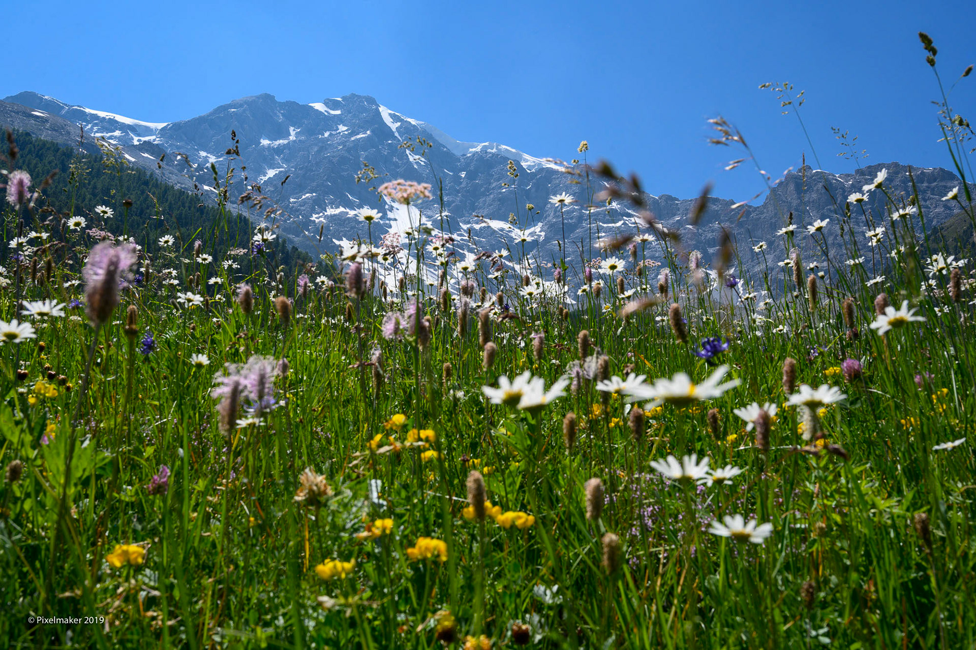Ortler 3905m ©pixelmaker.at