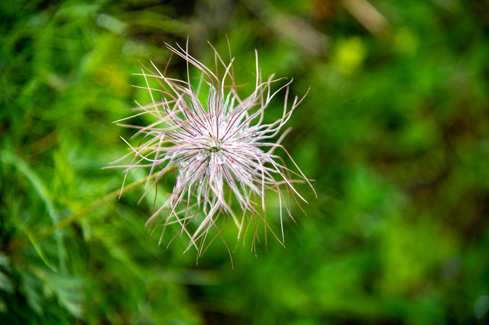 Bild zeigt:  Veröffentlichung nur mit©pixelmaker.at