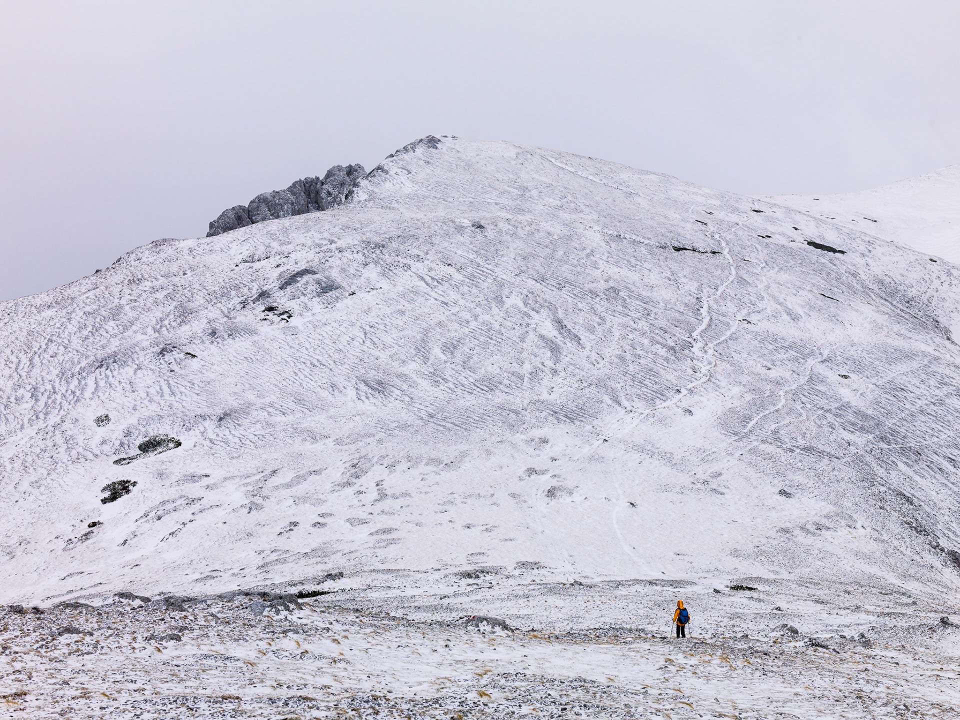 Bild zeigt:  Veröffentlichung nur mit©pixelmaker.at