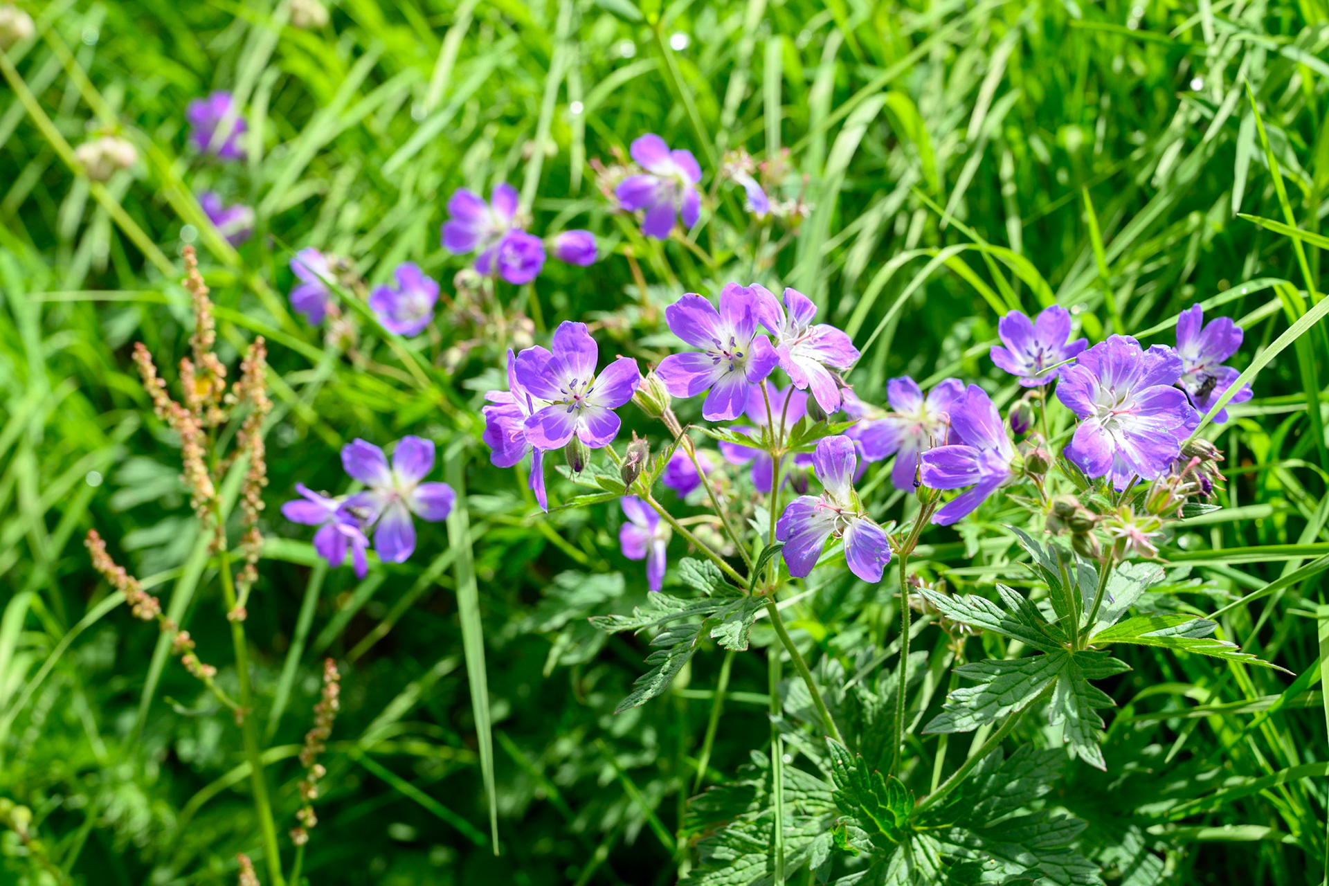 Bild zeigt v. l.:  Veröffentlichung nur mit©pixelmaker.at