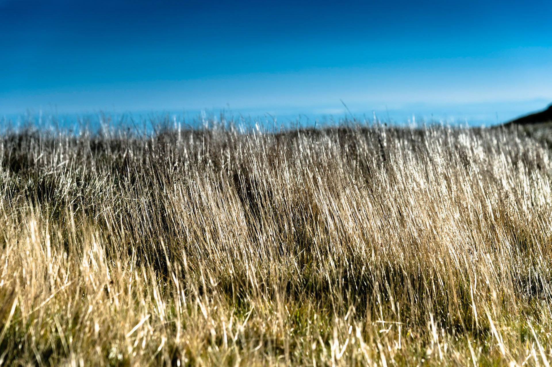 Handalm©pixelmaker.at