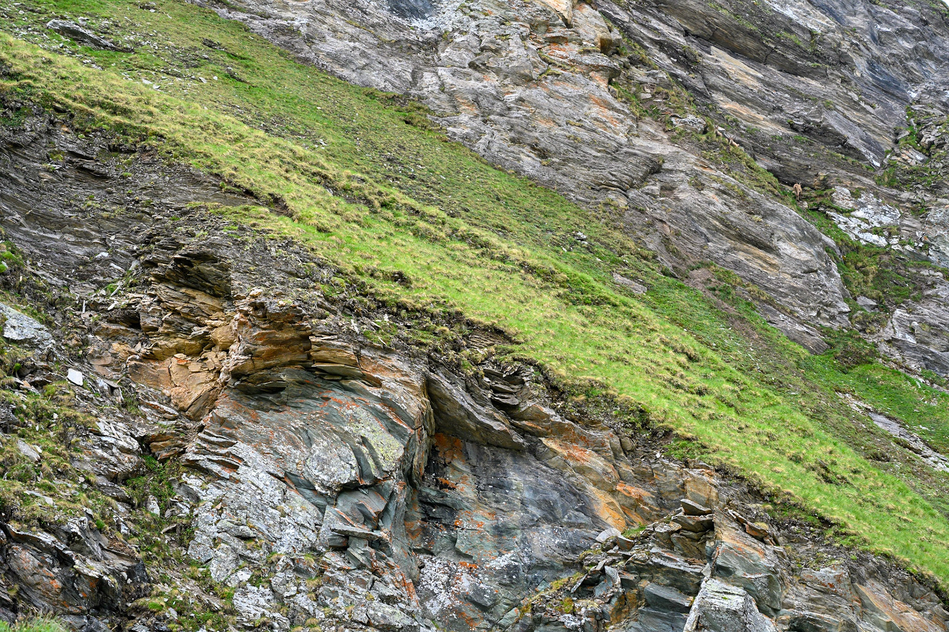 Bild zeigt v. l.:  Veröffentlichung nur mit©pixelmaker.at