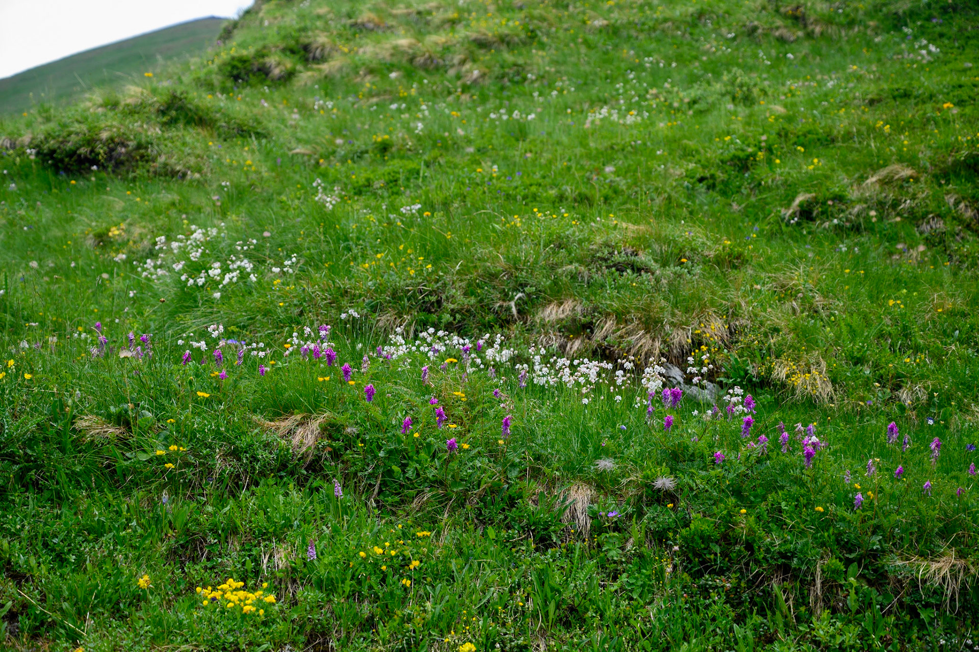 Bild zeigt v. l.:  Veröffentlichung nur mit©pixelmaker.at