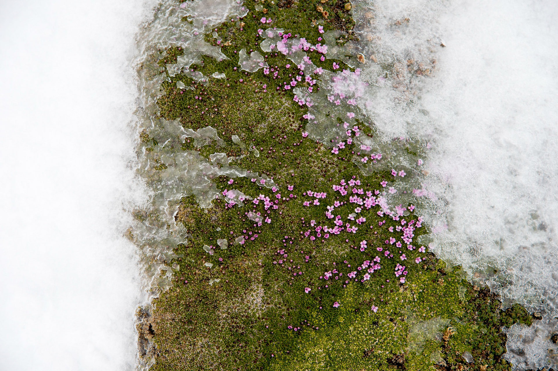 Glocknergruppe ©pixelmaker.at