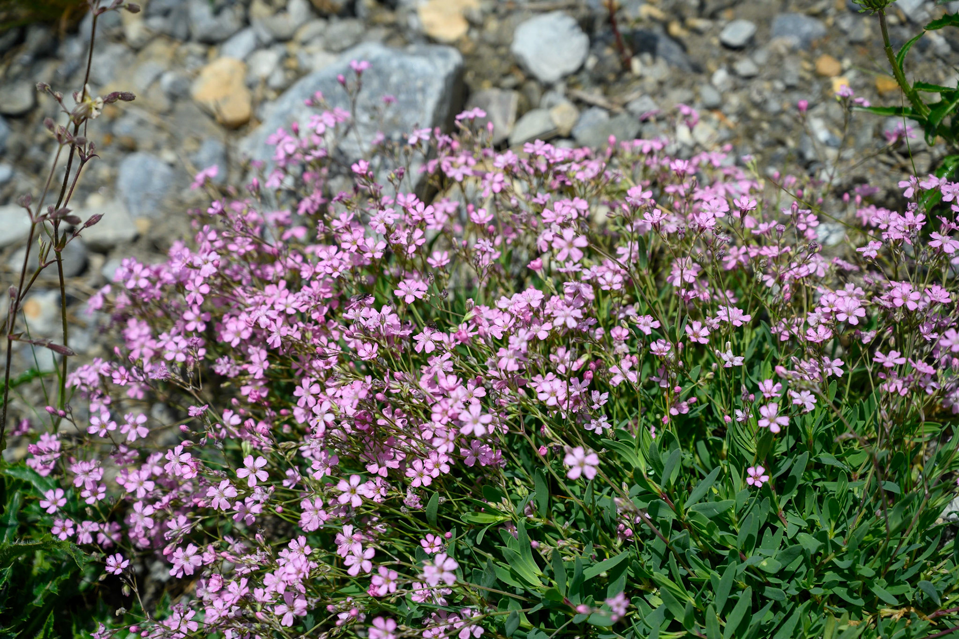 Bild zeigt v. l.:  Veröffentlichung nur mit©pixelmaker.at