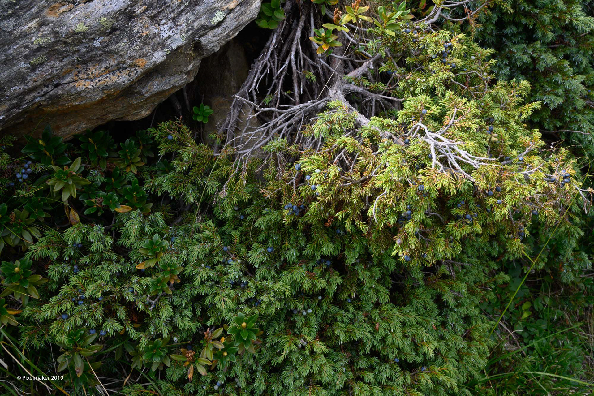 Rieserferner Durchquerung ©pixelmaker.at