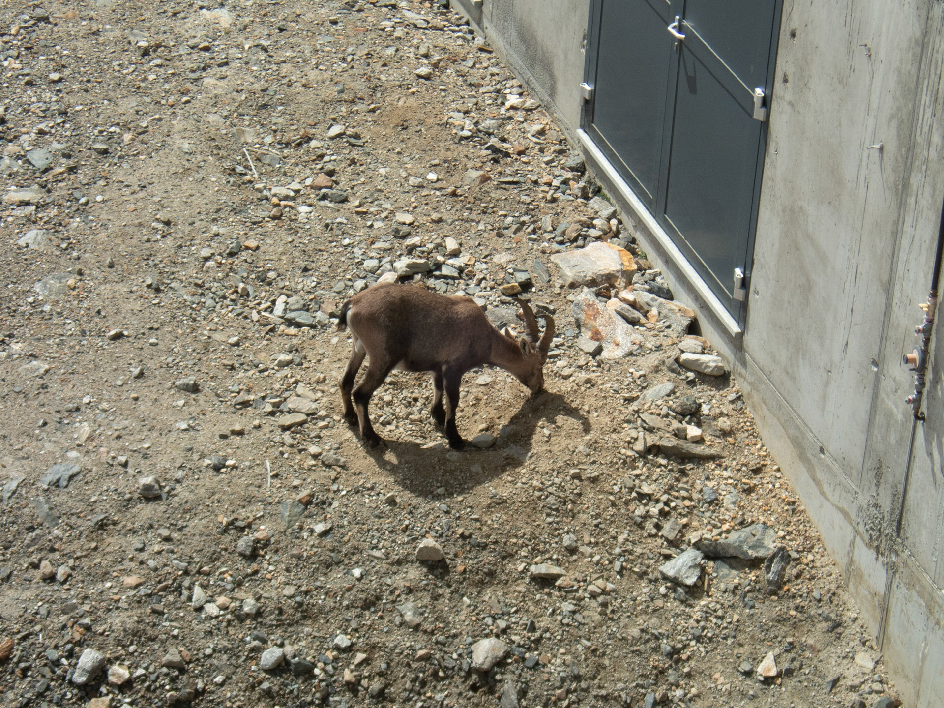 Monte Rosa ©pixelmaker.at