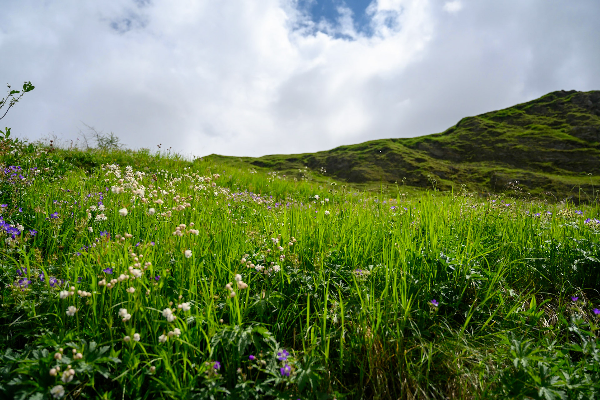 Bild zeigt v. l.:  Veröffentlichung nur mit©pixelmaker.at