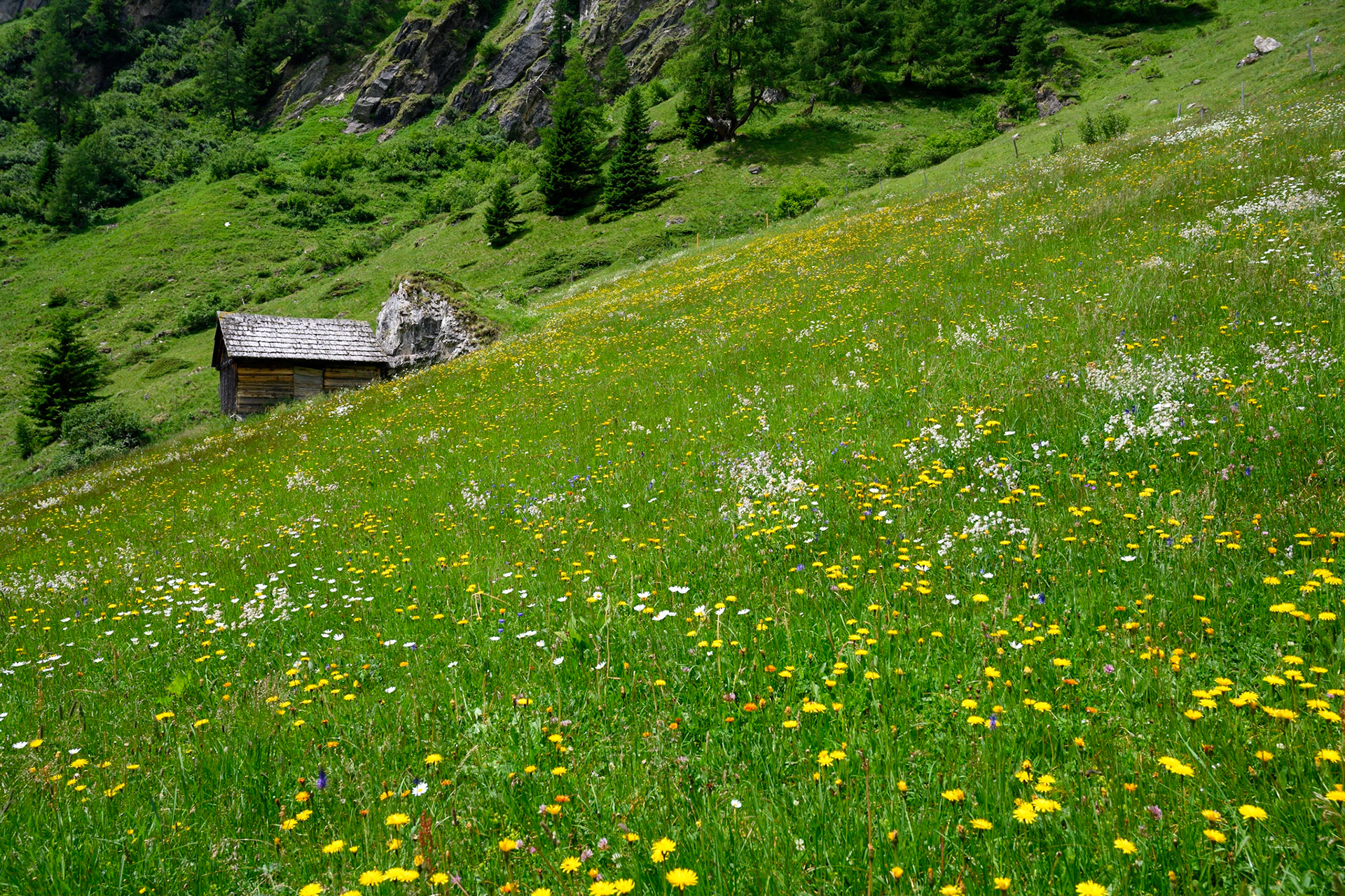 Bild zeigt v. l.:  Veröffentlichung nur mit©pixelmaker.at