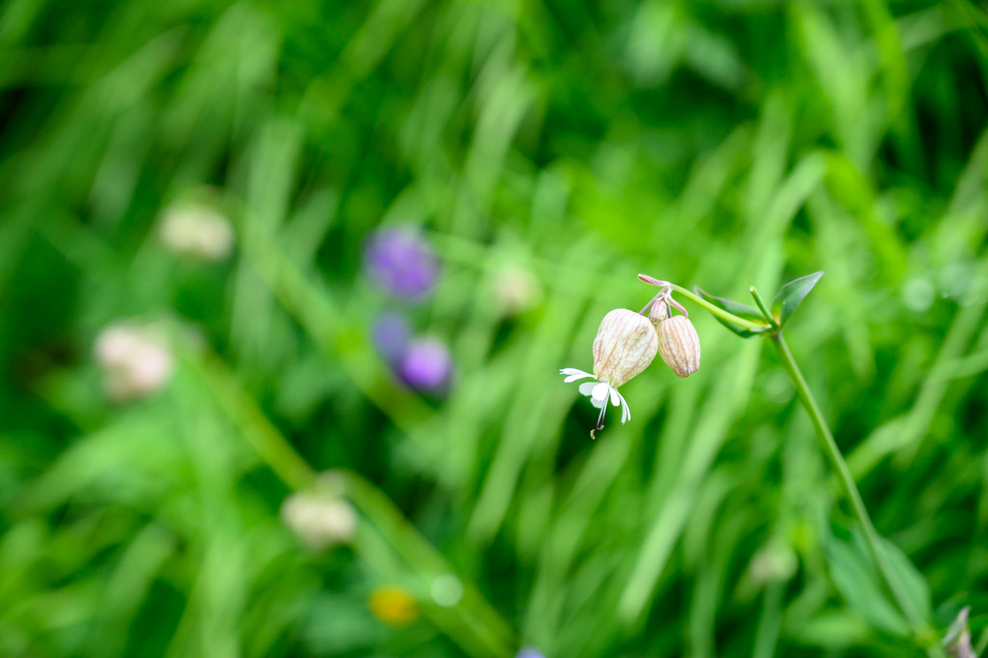 Bild zeigt v. l.:  Veröffentlichung nur mit©pixelmaker.at