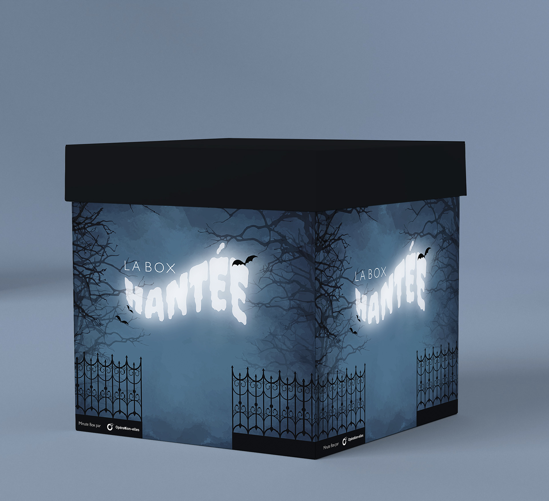 Création Logo et Identité Graphique