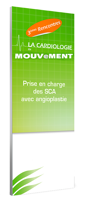 Création et Mise en Page Kakémono
