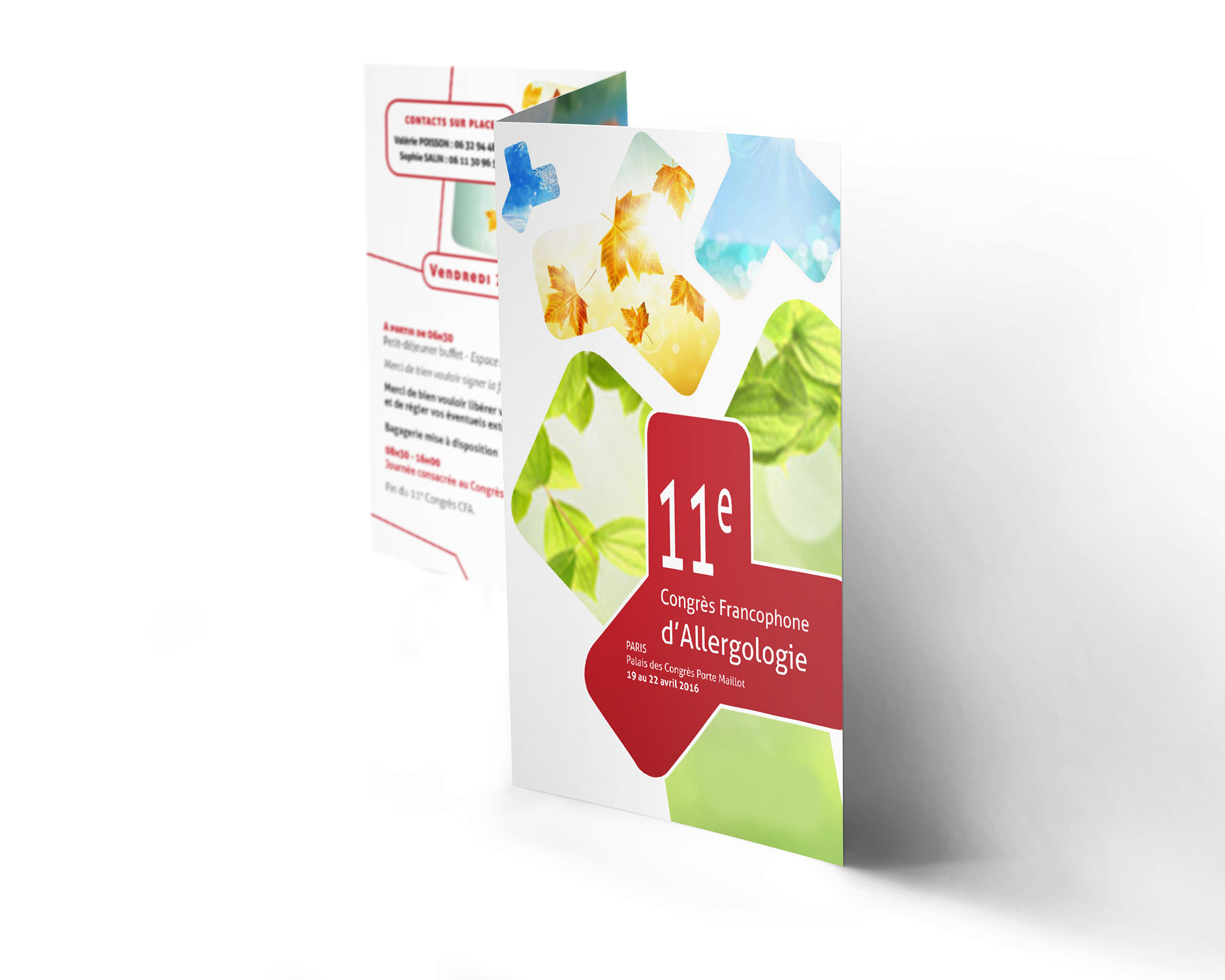 Création et Mise en Page Programme