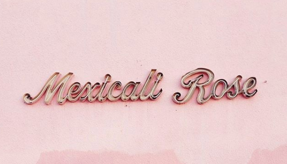Mexical-Rose