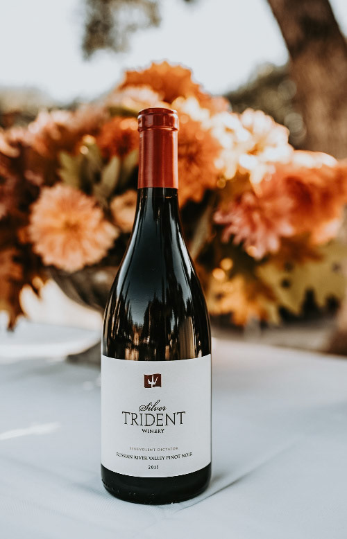 Silver Trident Winery | Yountville, CA