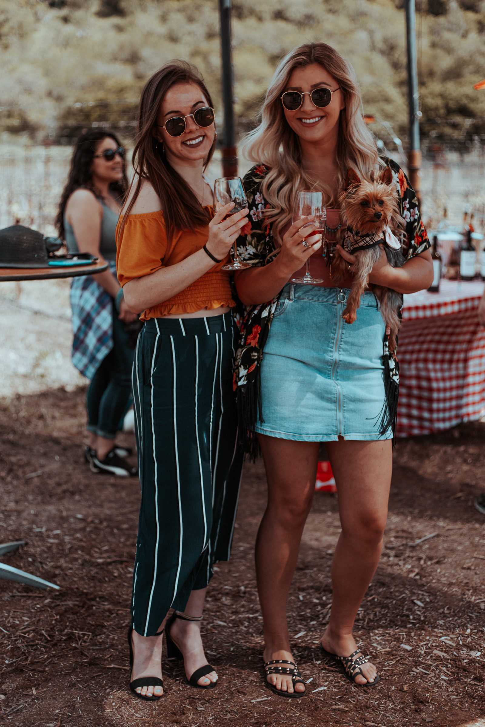 Dogs in the Vineyard Event Photoshoot; Saint Helena CA