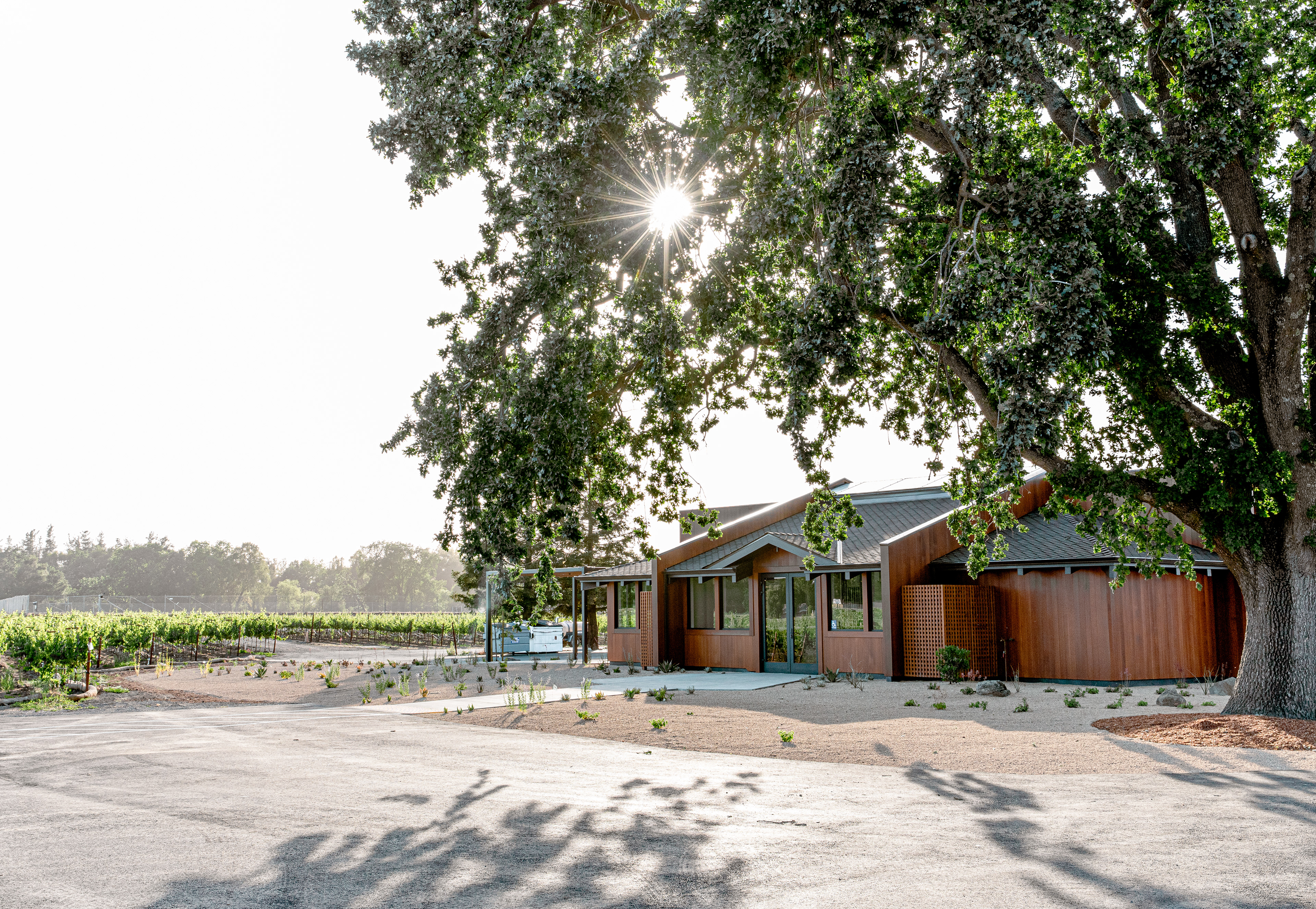 Bread & Butter Wines Tasting Room