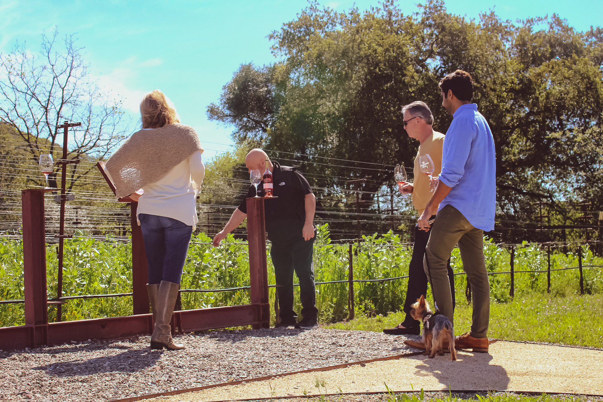 Rutherford Ranch Winery, April 2019 Shoot