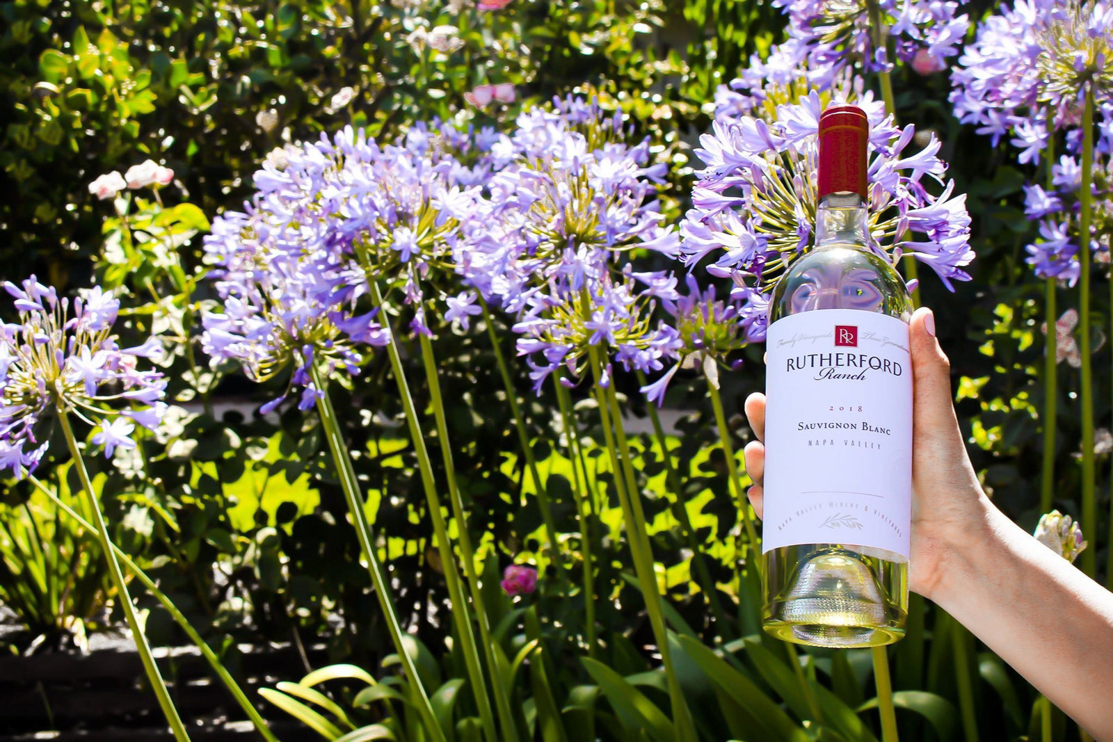 Rutherford Ranch Winery Photoshoot