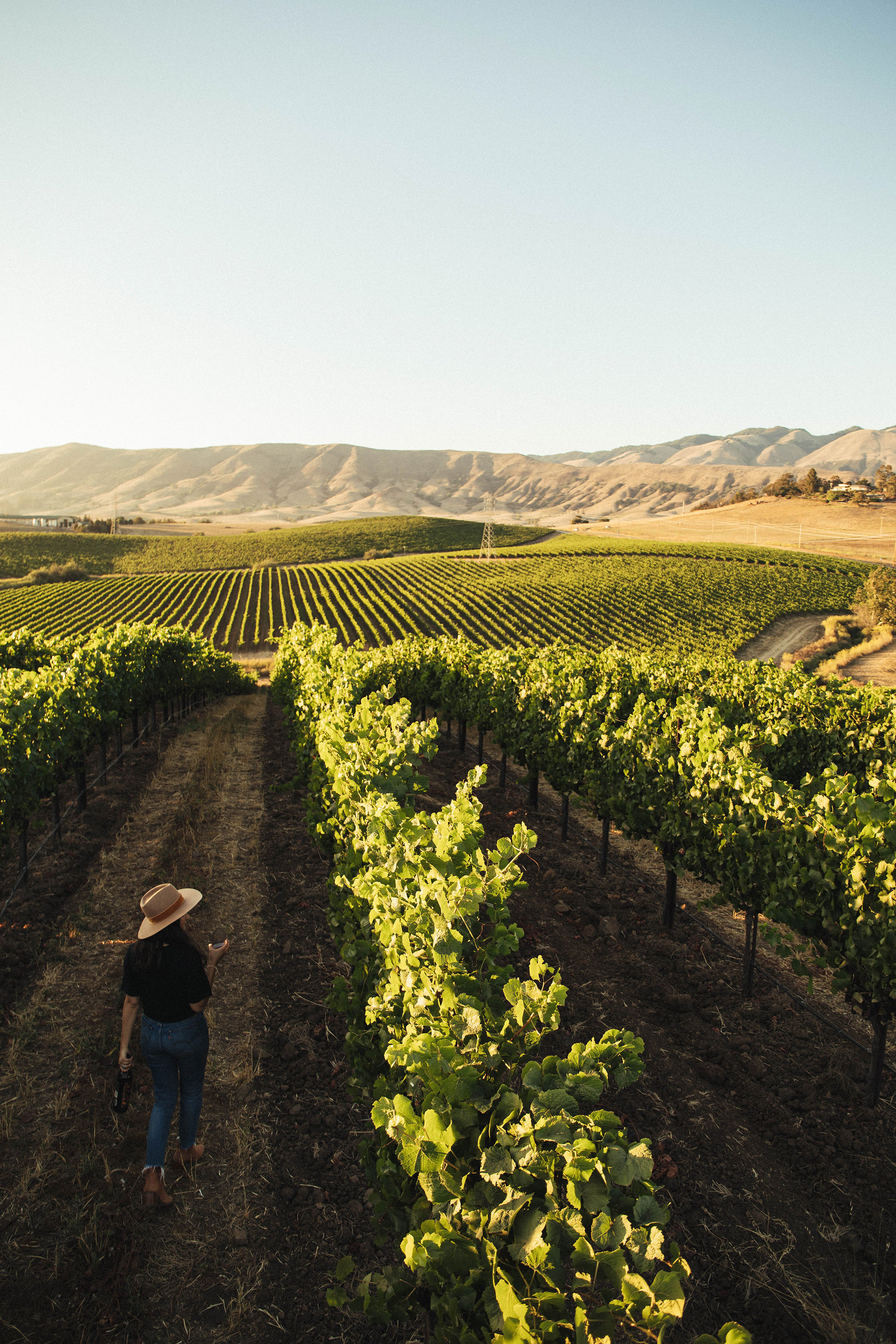 Baileyana Winery