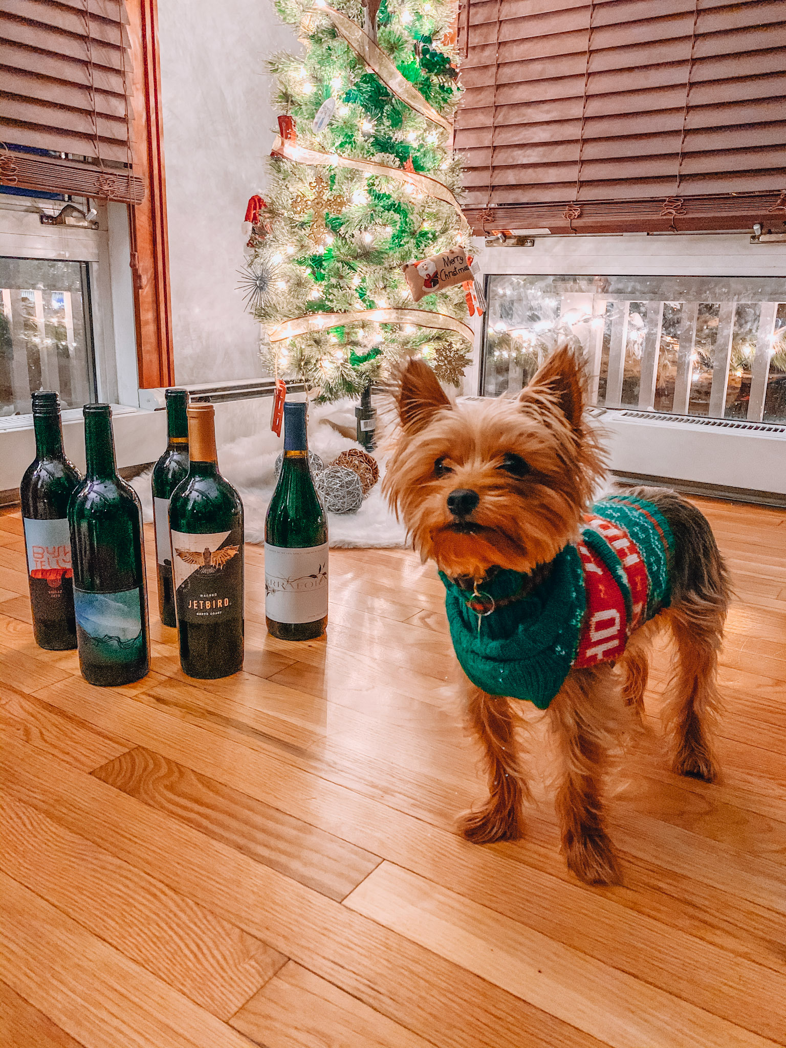 Bright Cellars | Lifestyle