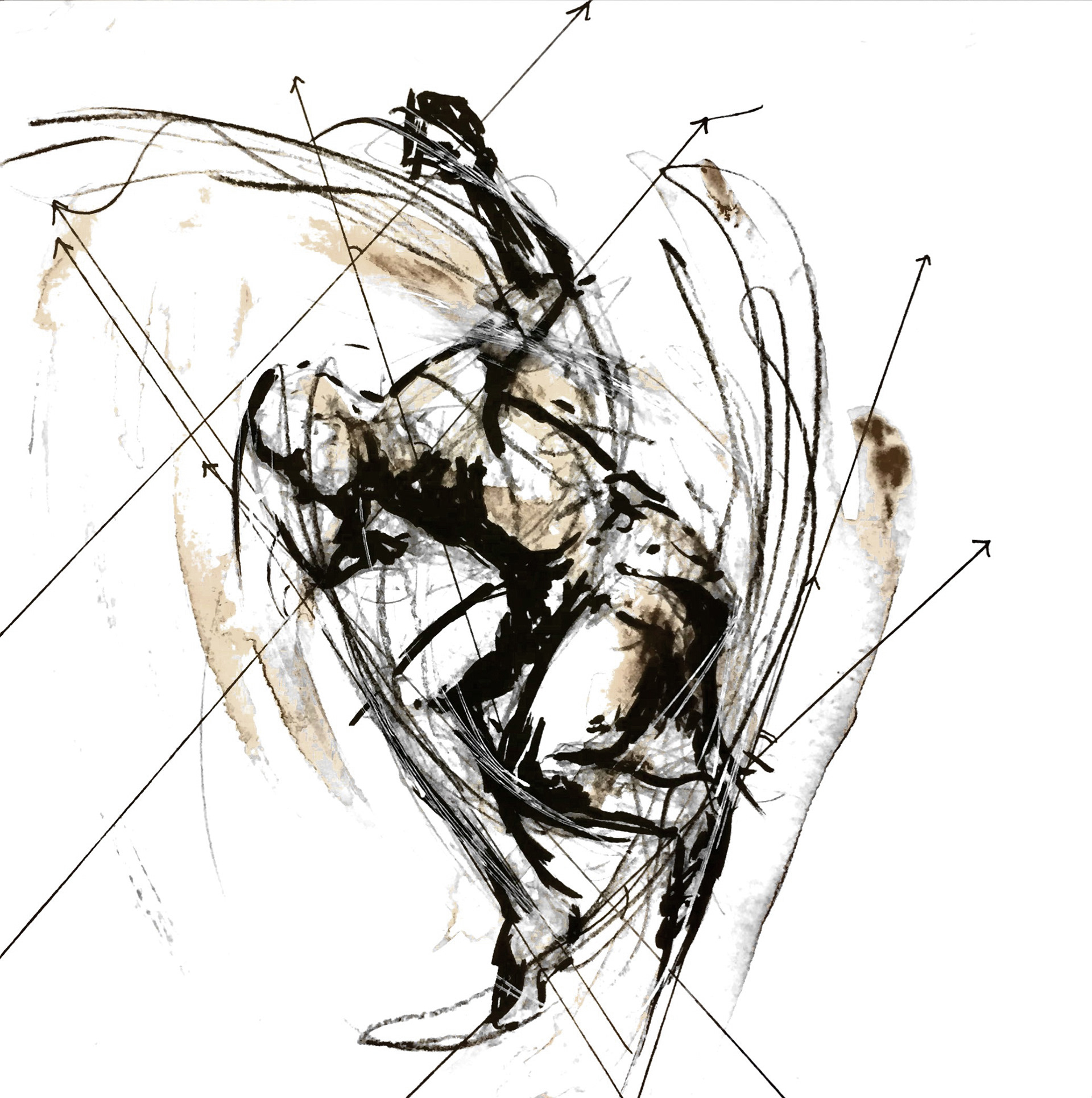 Hand-Drawn Analysis of Stomp Foot
