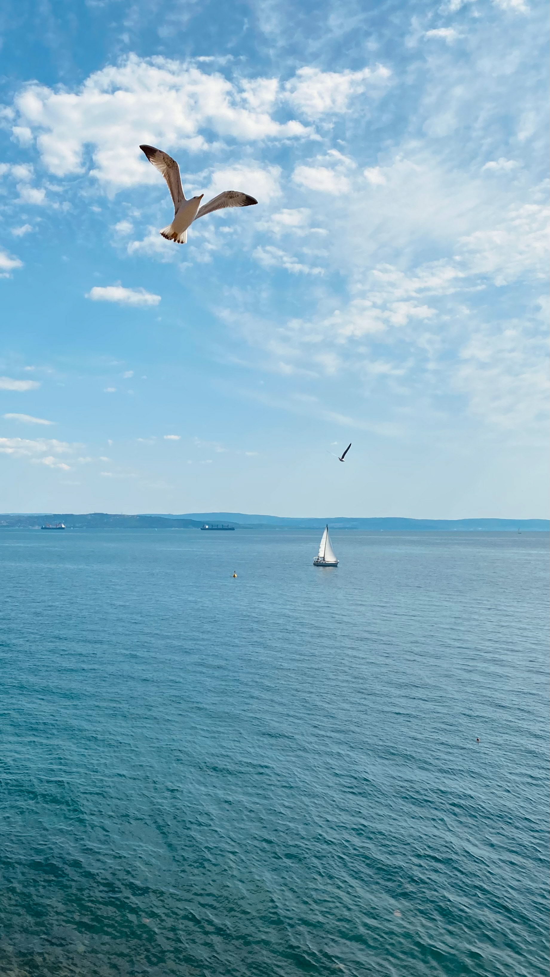 Trieste