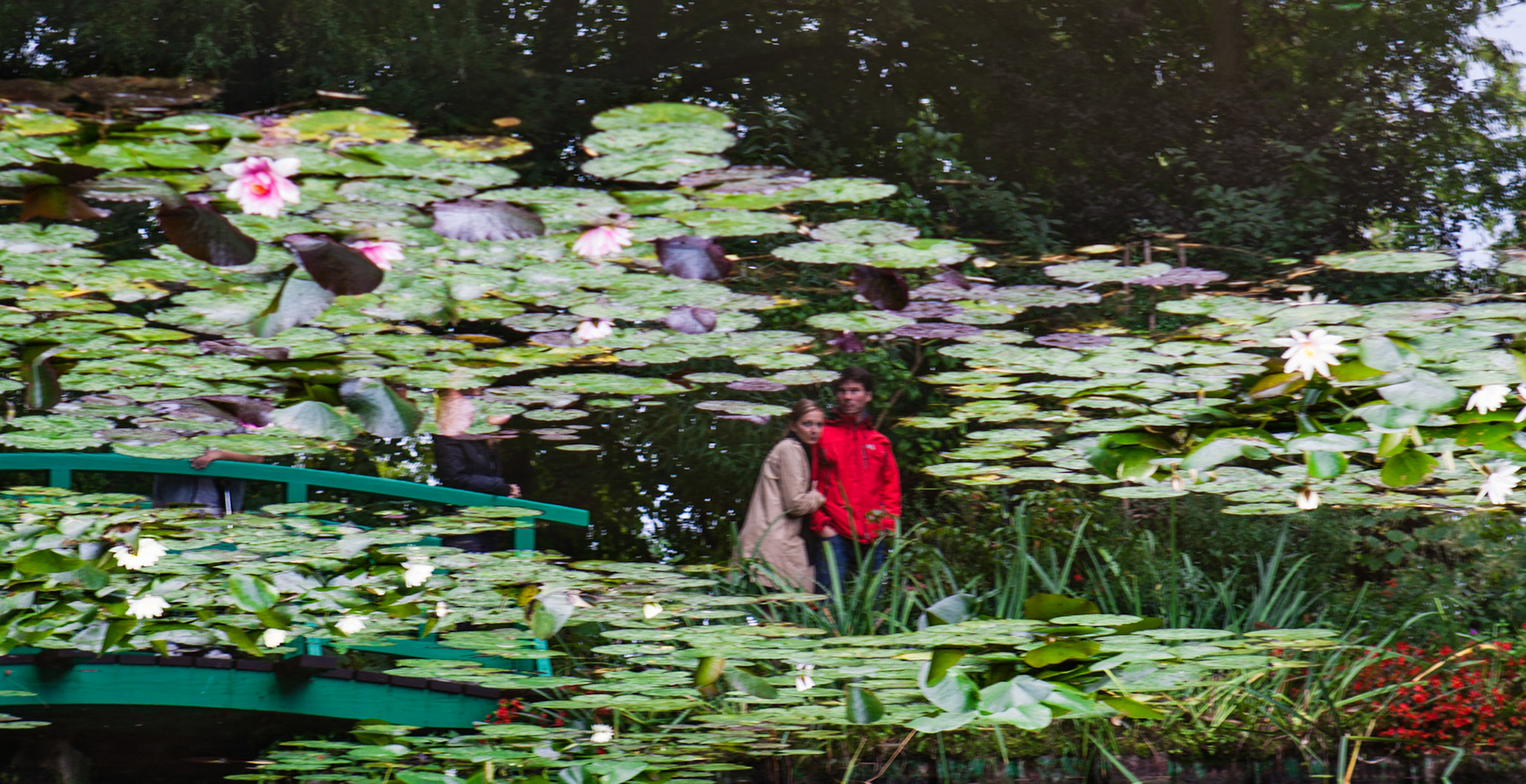 IMPRESSÕES DE MONET