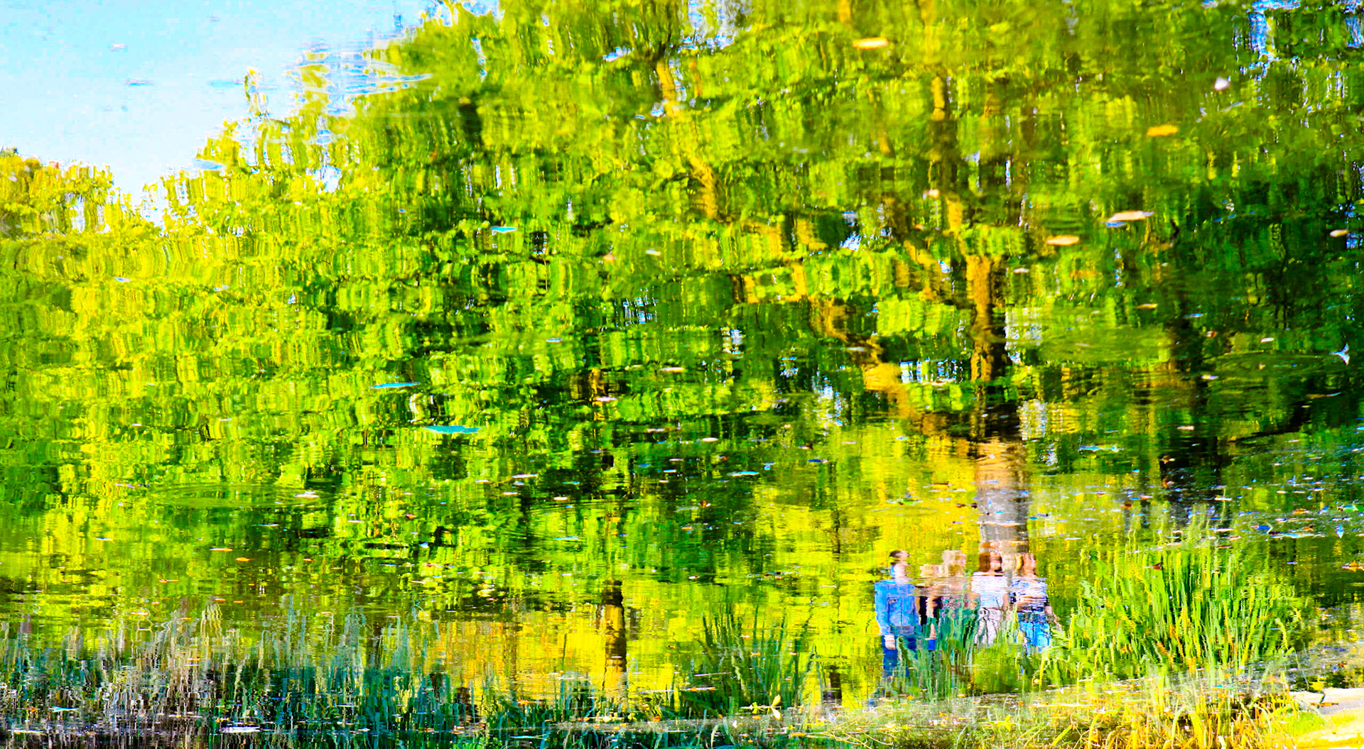 PRIMAVERA