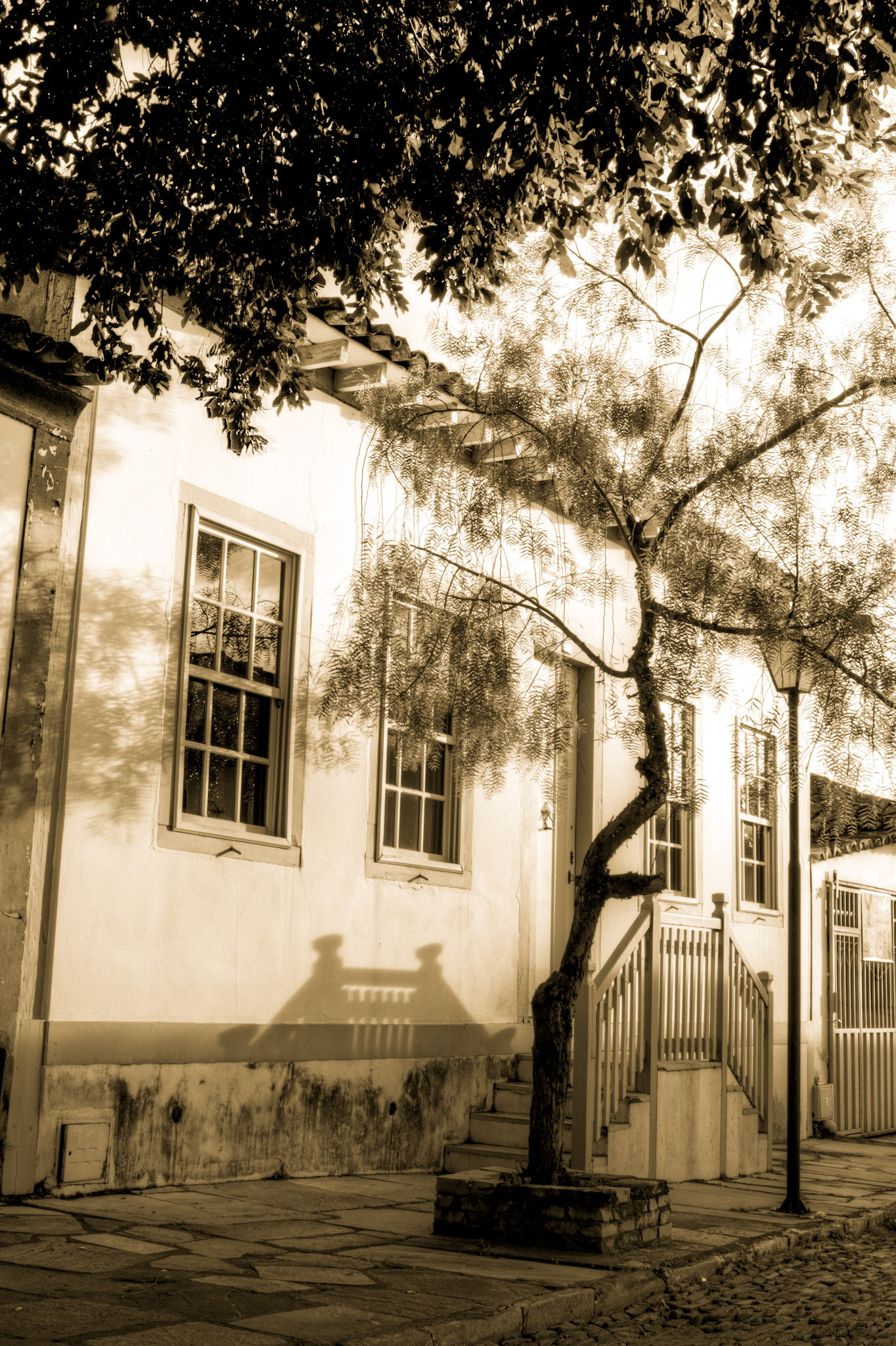 CAFÉ E CULTURA
