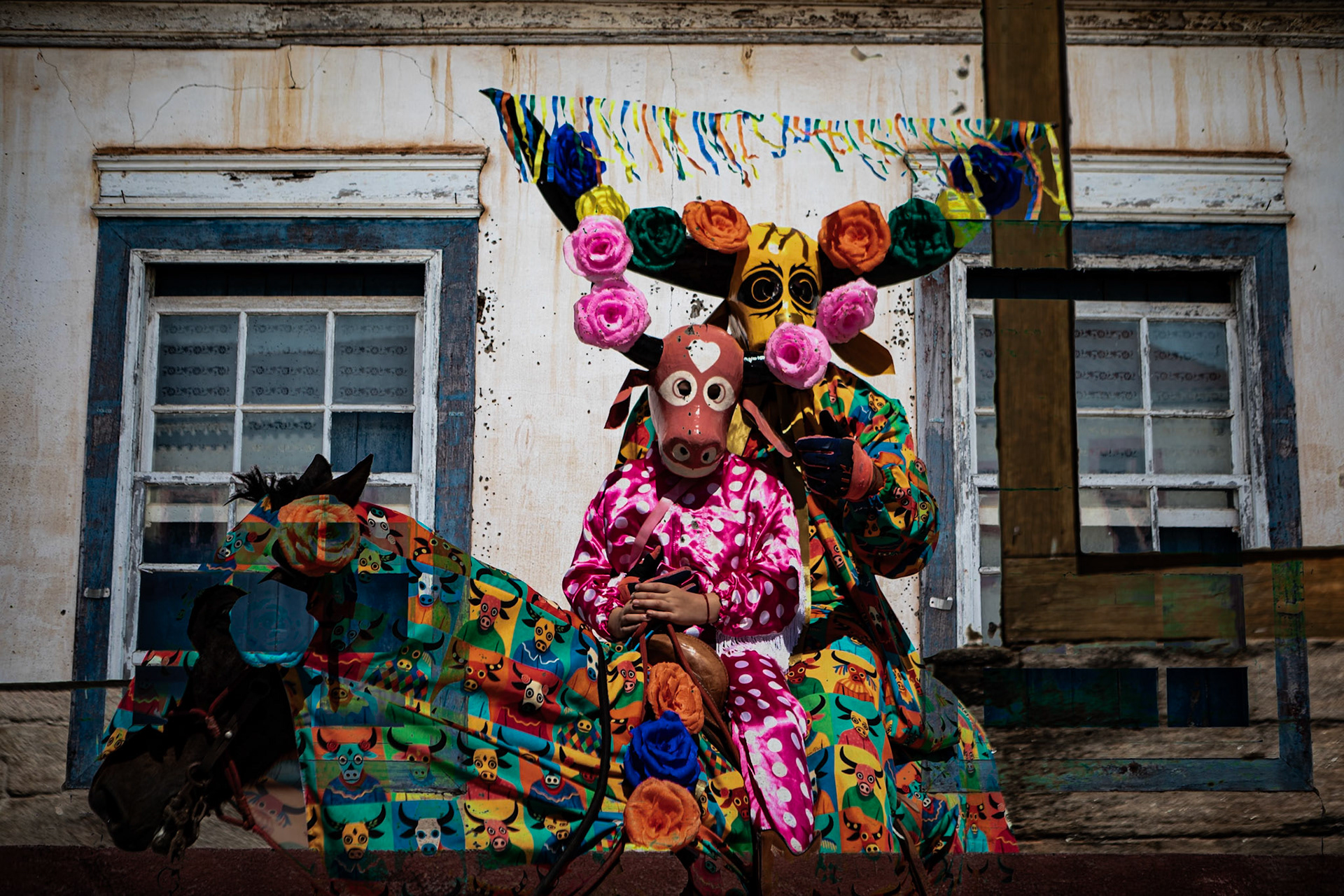 MASCARADO NA JANELA