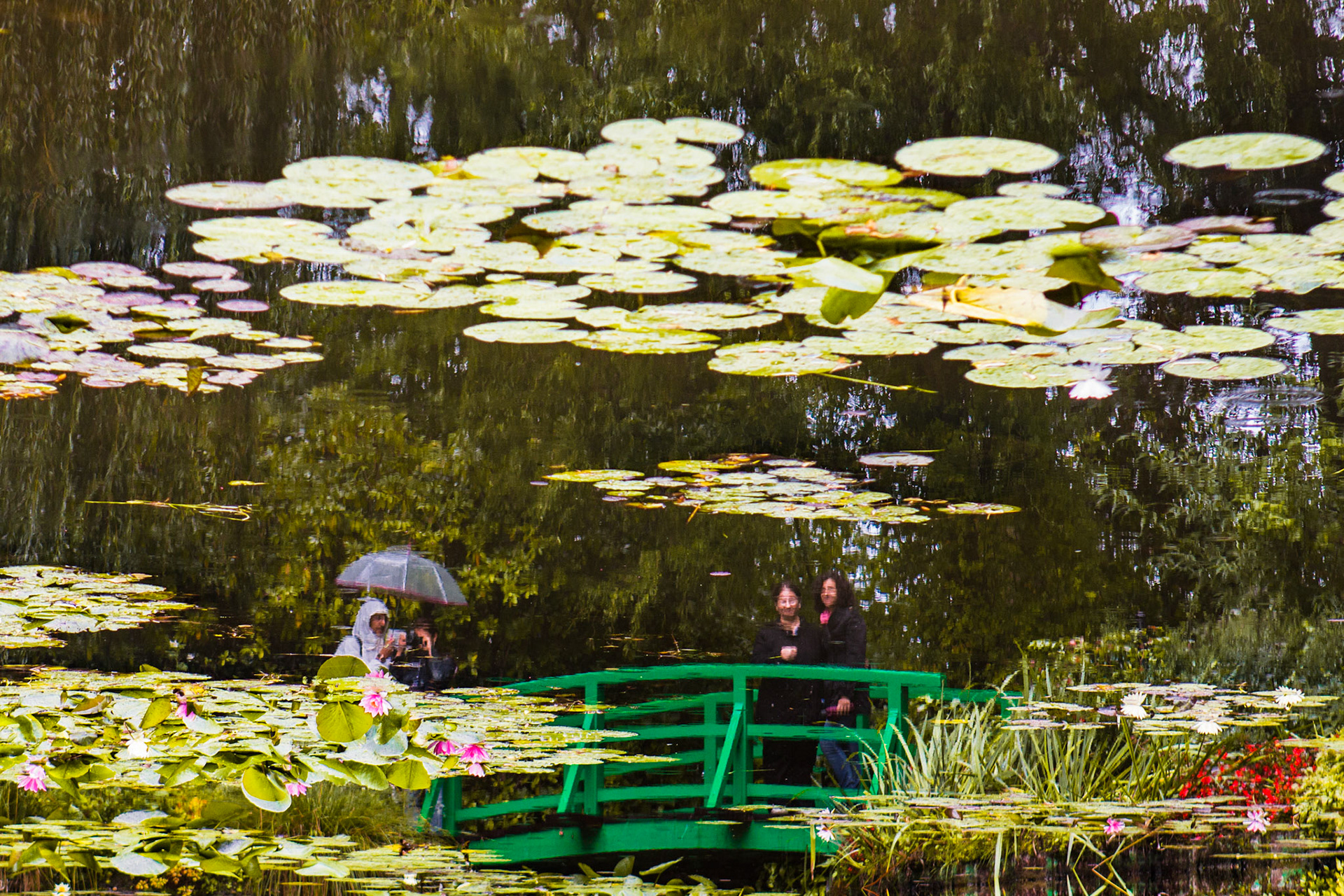 PONTE JAPONESA DE MONET