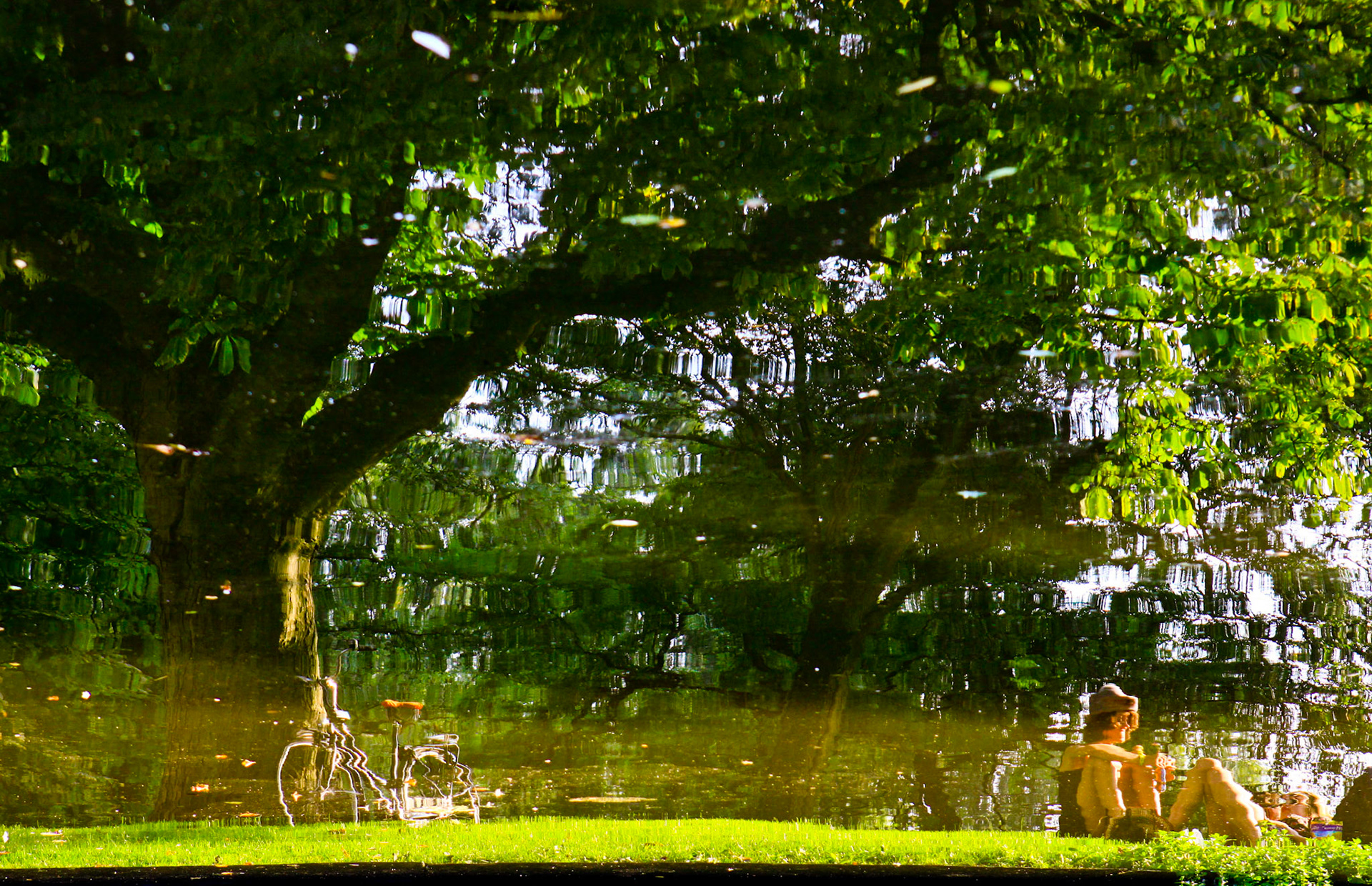 BICICLETAS DE AMSTERDAM II